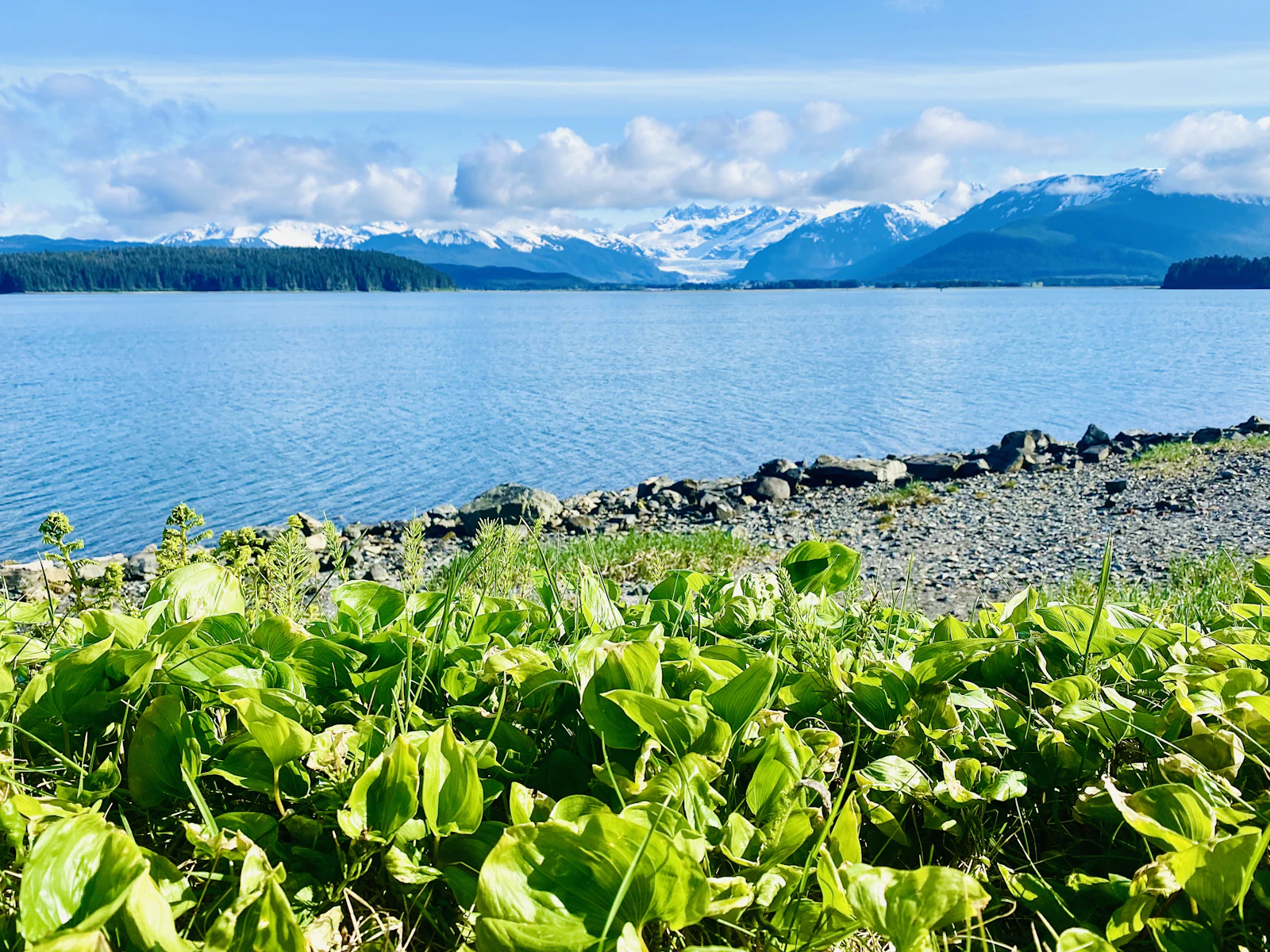 Juneau, Alaska photo 15 by Kathrine Coonjohn