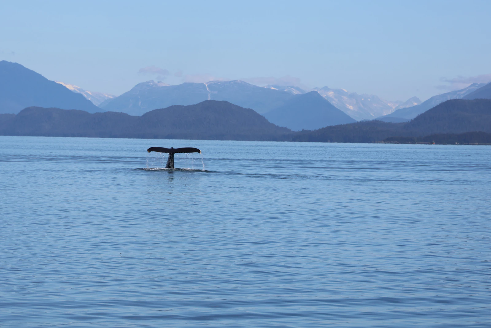 Juneau, Alaska photo 10 by Meg von Haartman