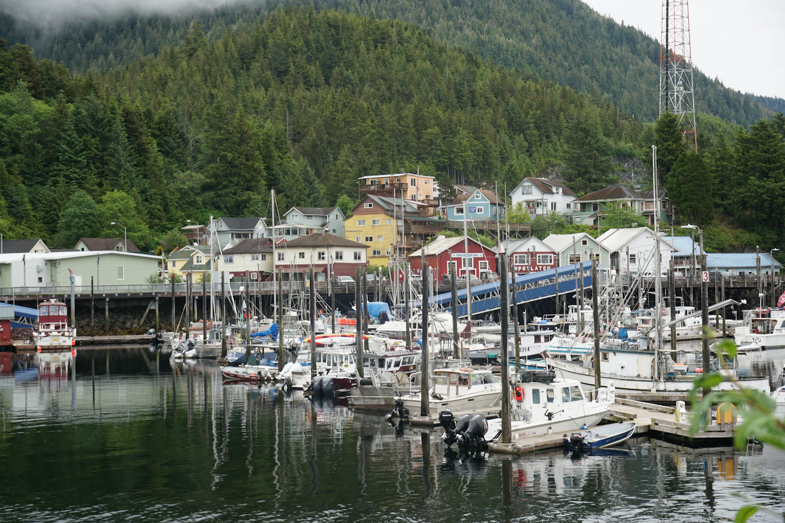 Ketchikan, Alaska photo 4 by Sheila C