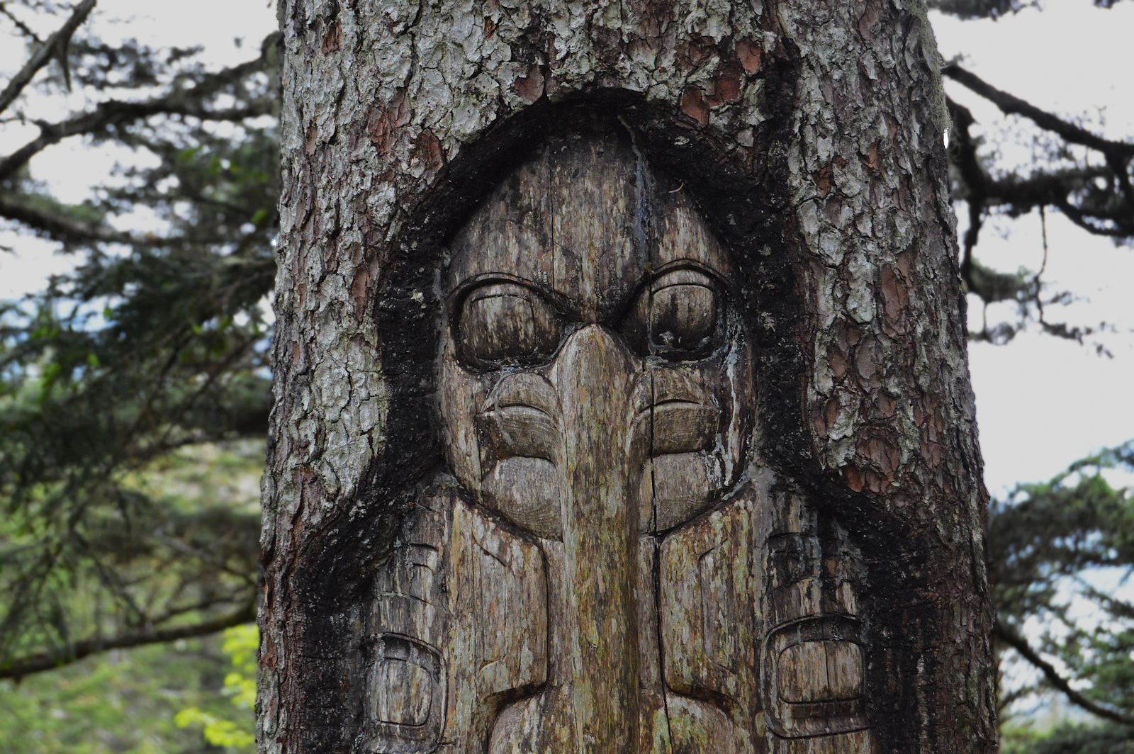 Ketchikan, Alaska photo 12 by Jonathan Skule