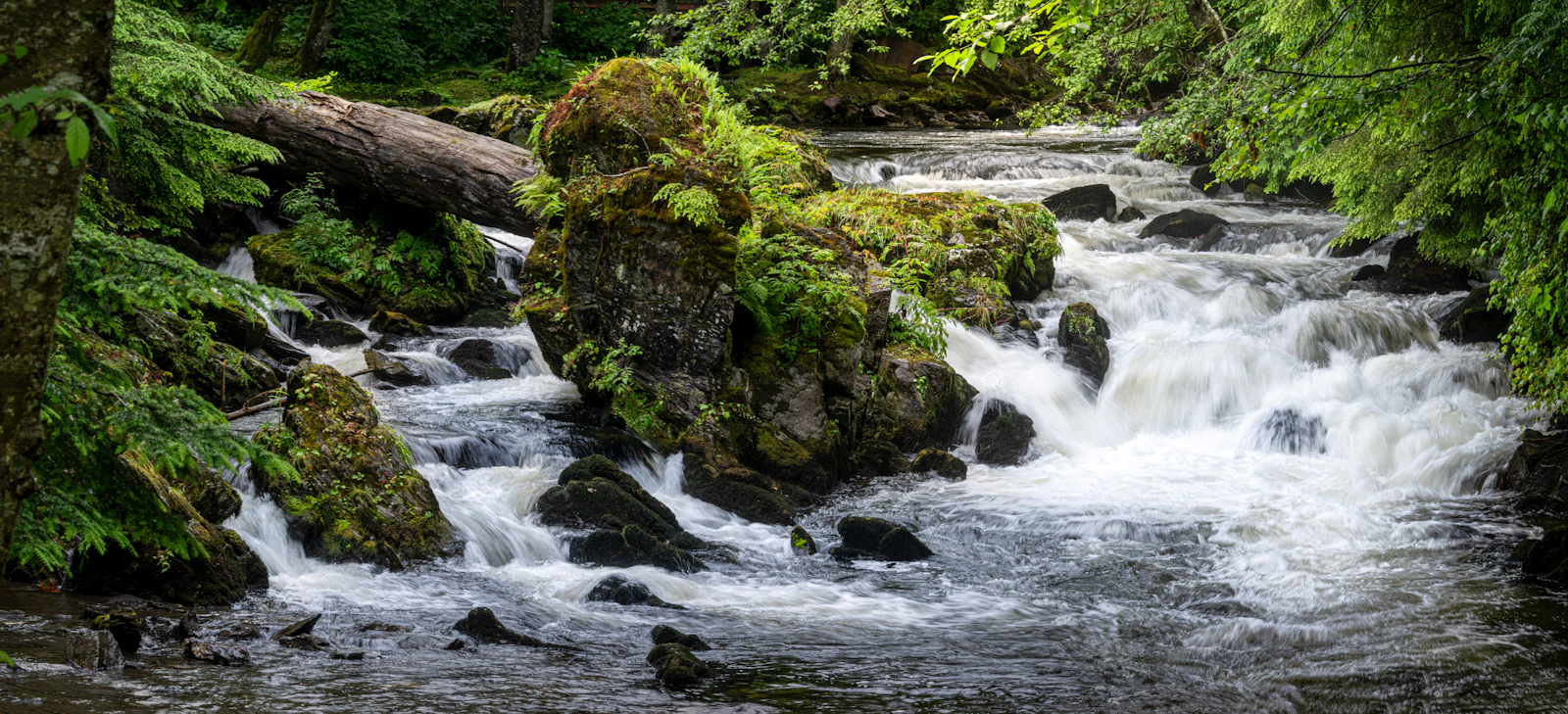 Ketchikan, Alaska photo 19 by Joseph Corl