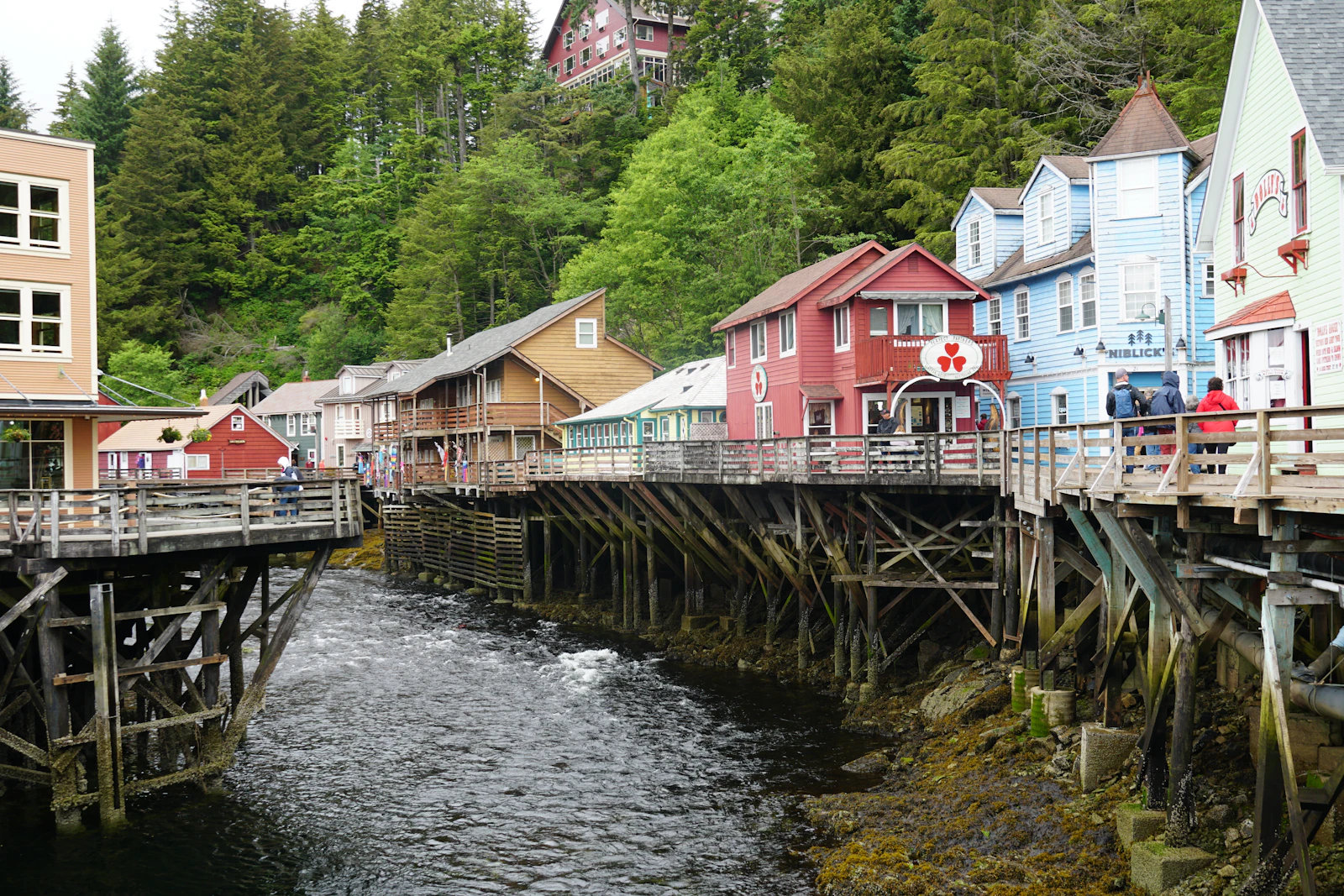 Ketchikan, Alaska photo 2 by Sheila C