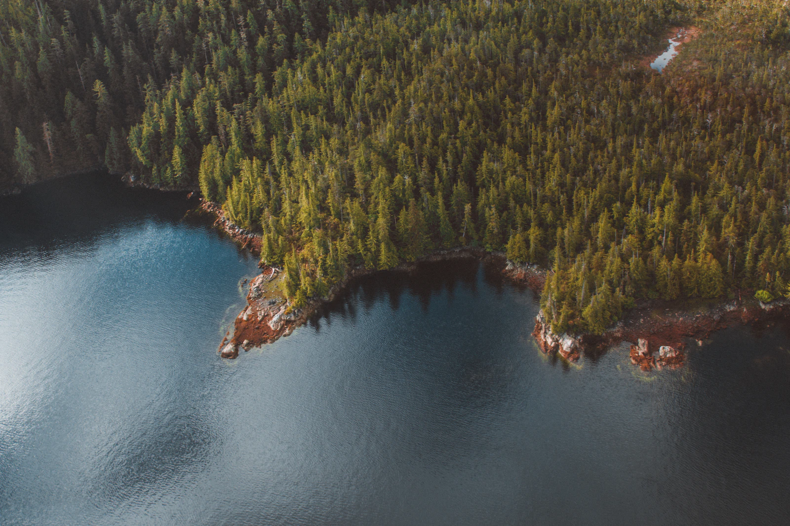Ketchikan, Alaska photo 10 by Cody Doherty