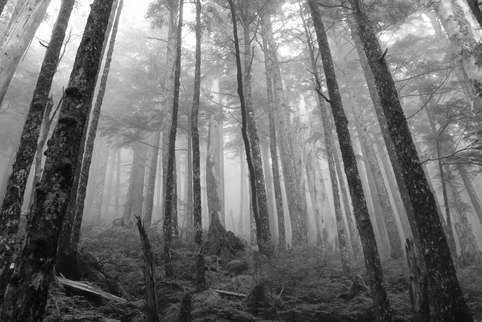 Ketchikan, Alaska photo 22 by Chris Riggs