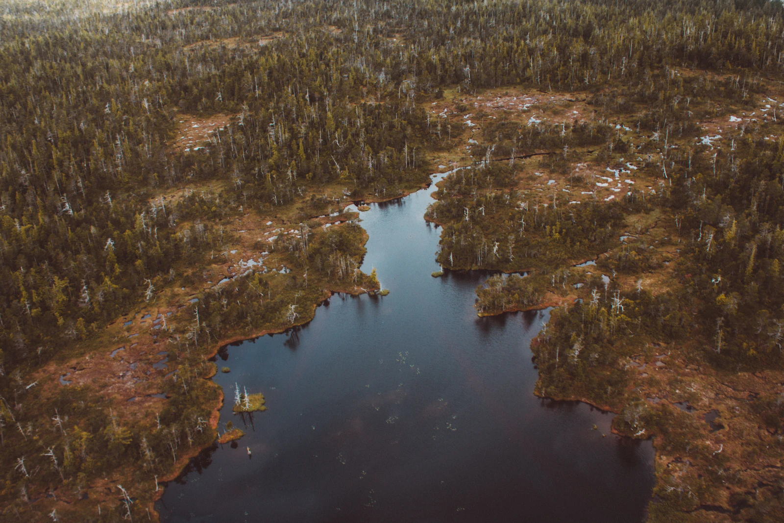 Ketchikan, Alaska photo 23 by Cody Doherty
