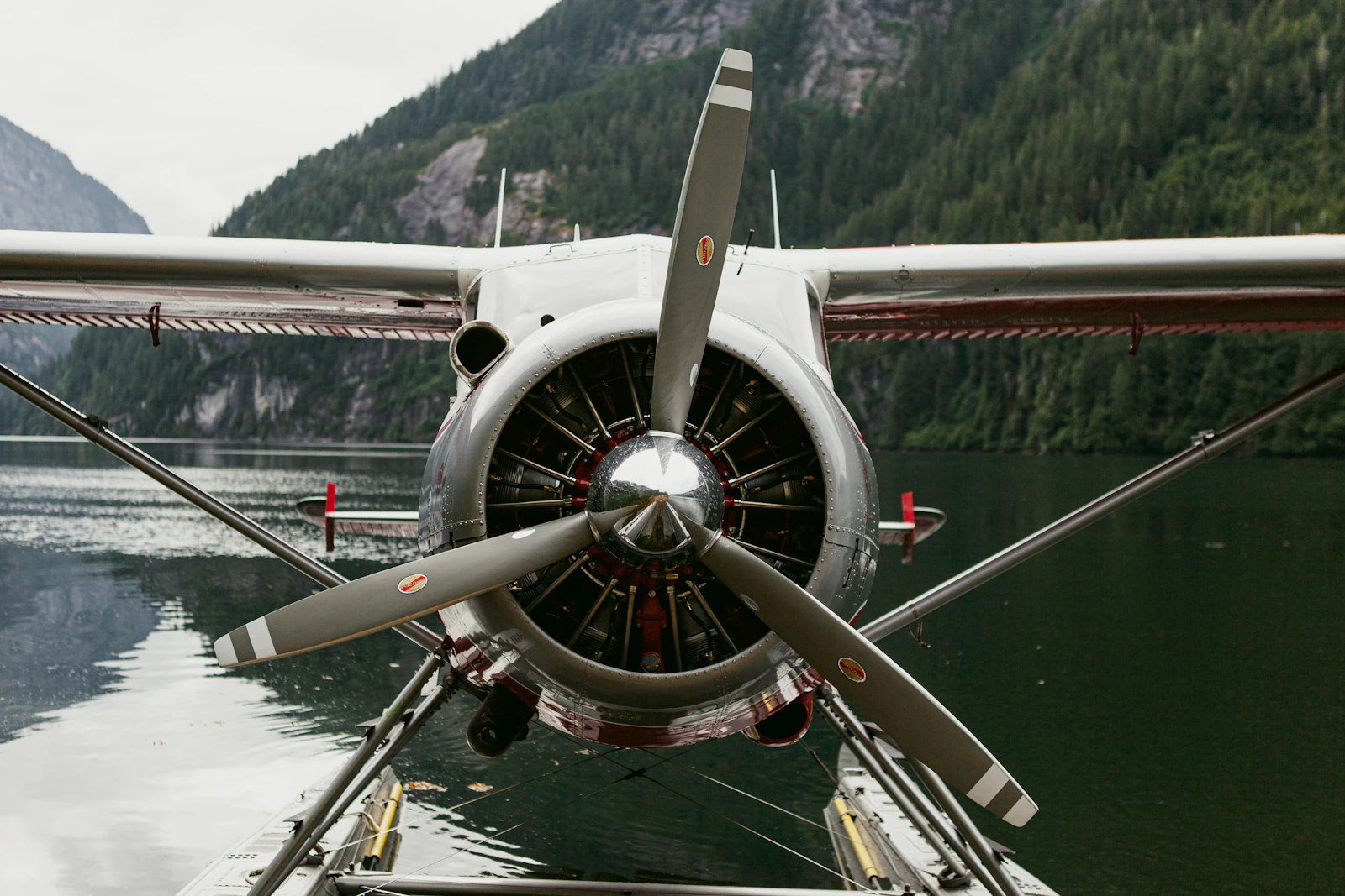 Ketchikan, Alaska photo 9 by Steve Wrzeszczynski