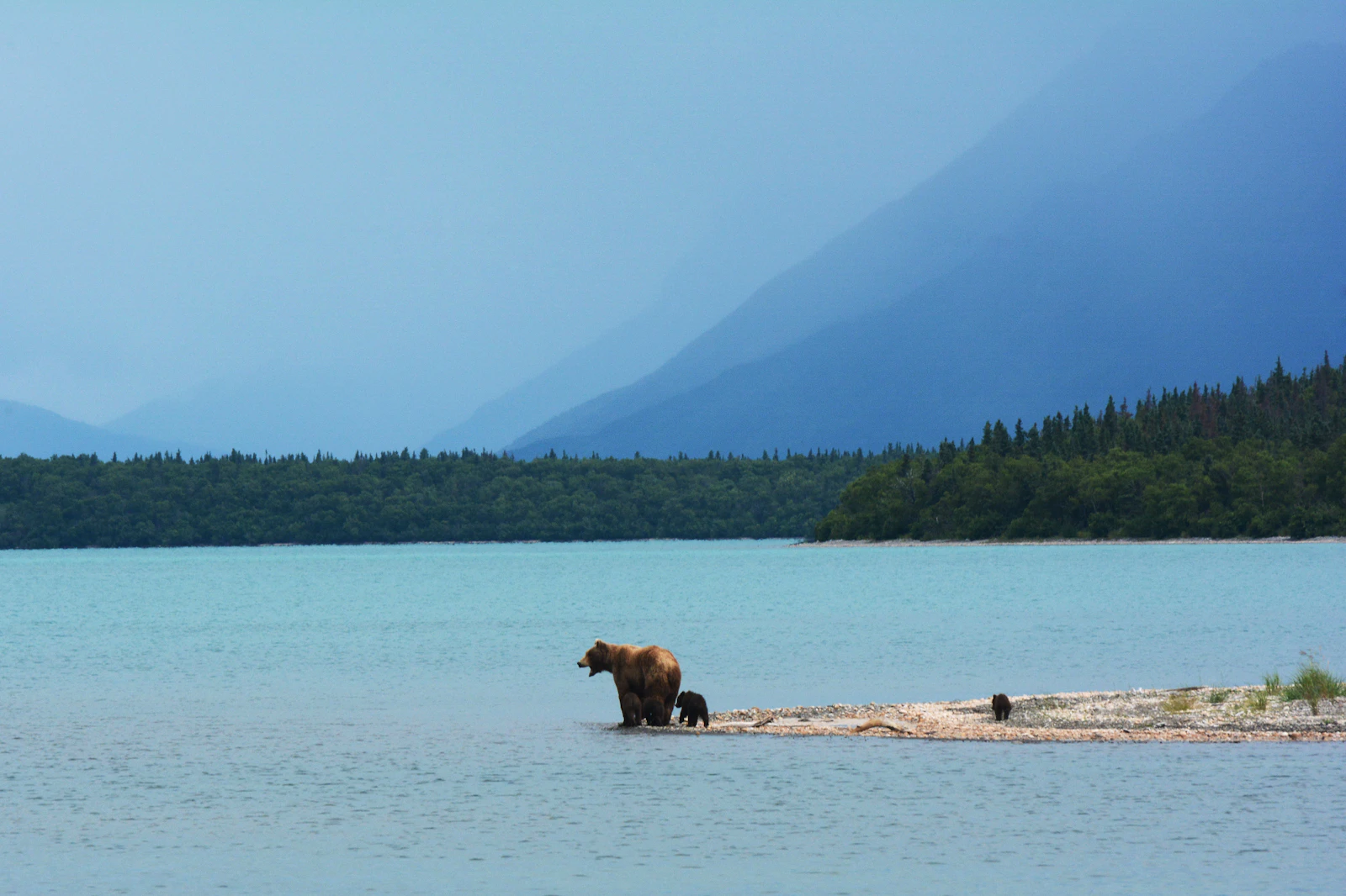 Seward, Alaska photo 2 by Paxson Woelber
