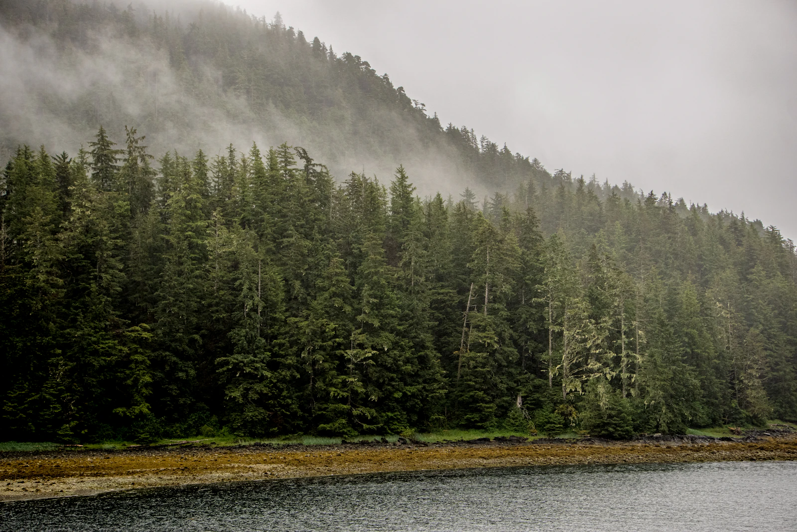 Sitka, Alaska photo 8 by E Orlando