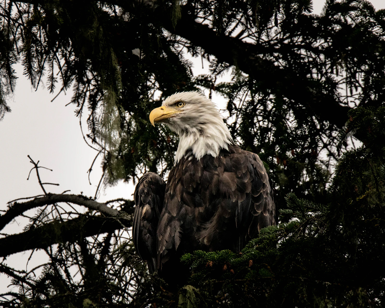 Sitka, Alaska photo 6 by Eric Hooper