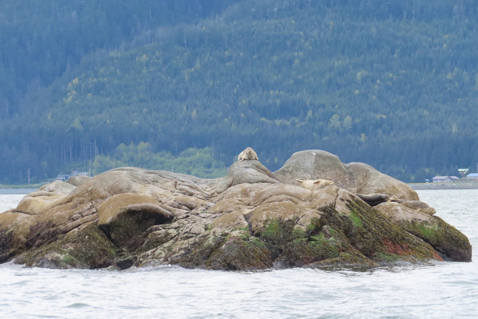 Skagway, Alaska photo 22 by Julie Ostrander