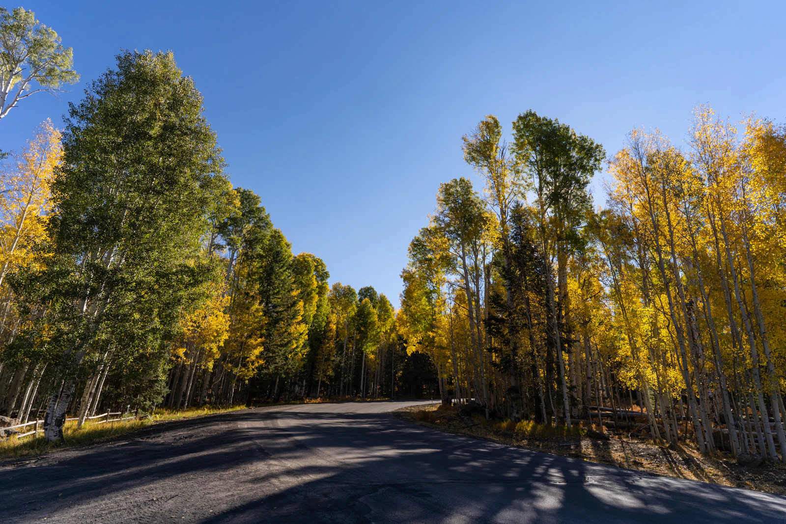 Flagstaff, Arizona photo 29 by Paulius Dragunas