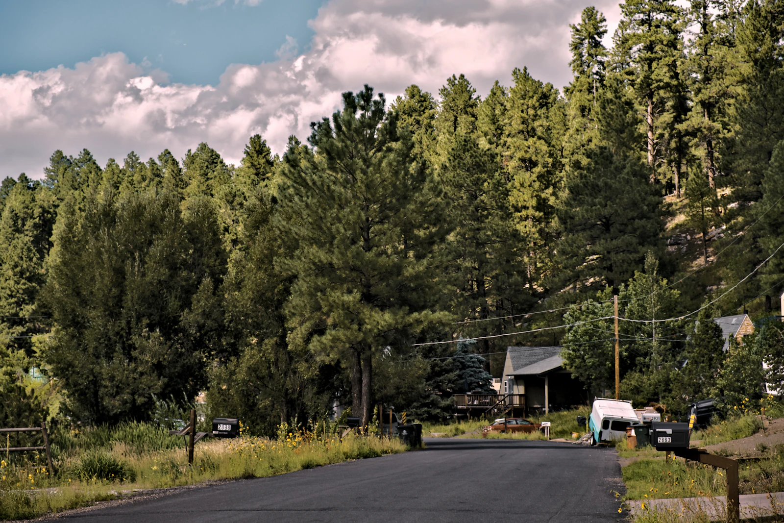 Flagstaff, Arizona photo 19 by Niko Saparilas