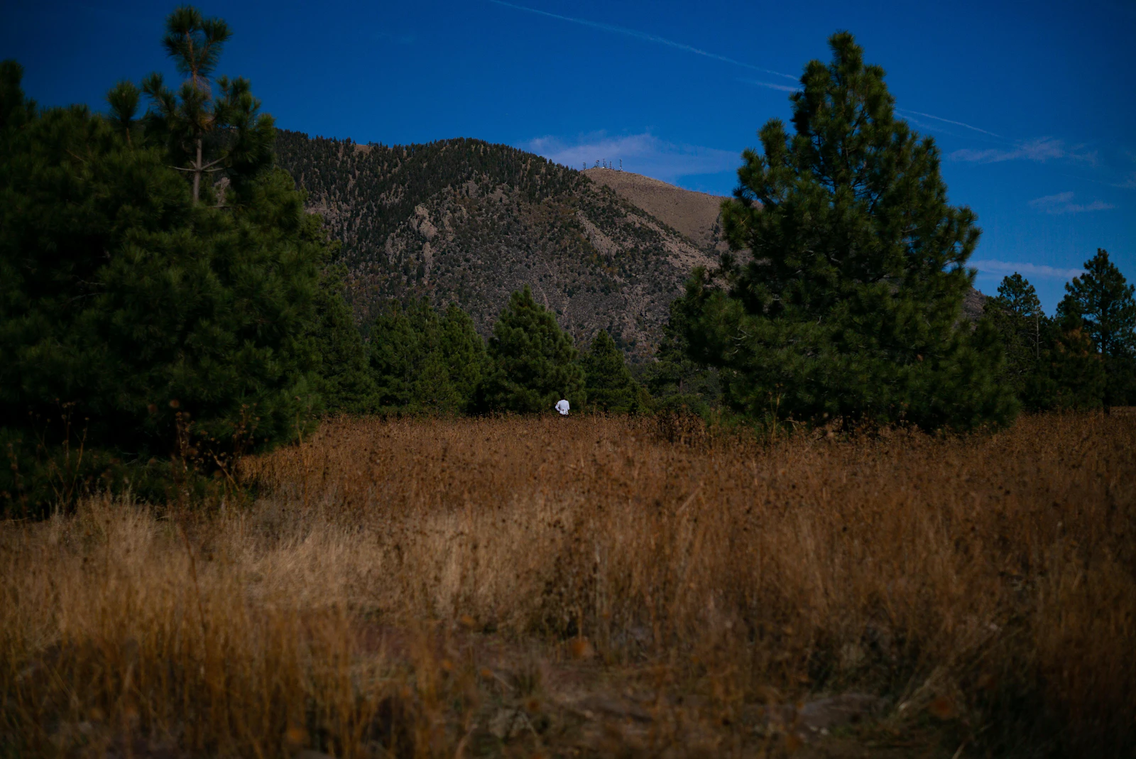 Flagstaff, Arizona photo 14 by Mike Leveton