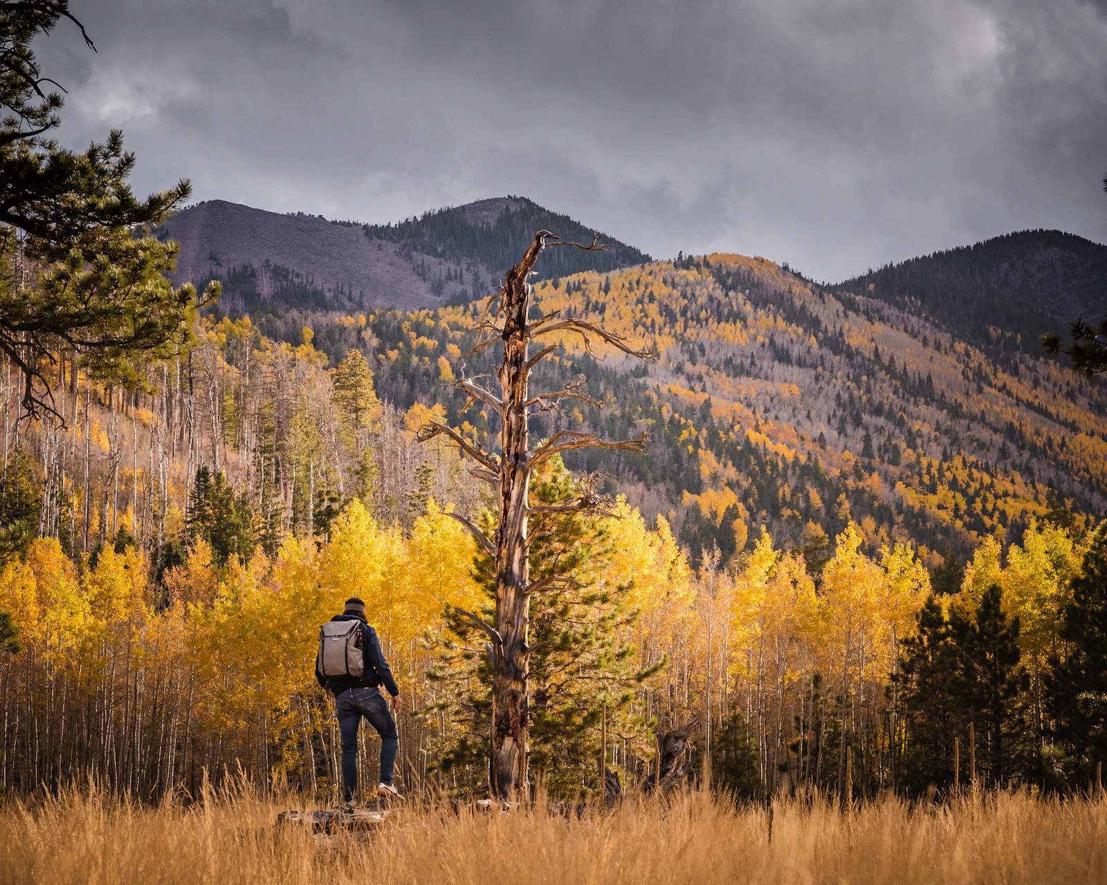 Flagstaff, Arizona photo 4 by Jared Murray