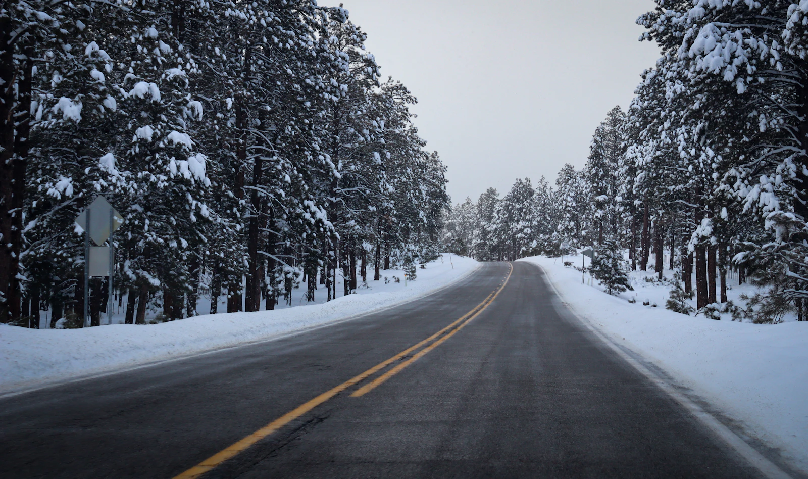 Flagstaff, Arizona photo 21 by Sonar Shack