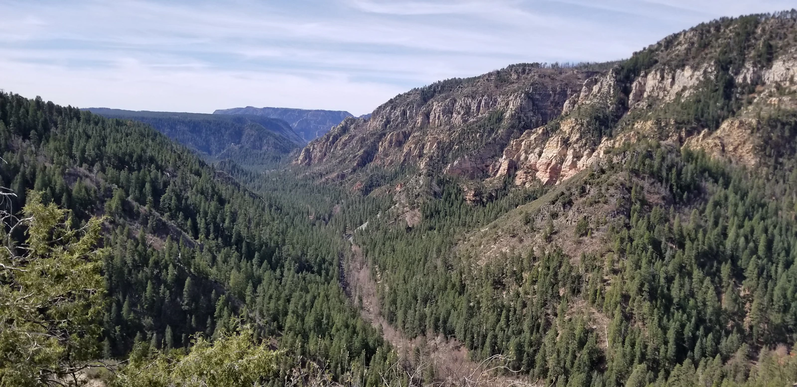 Flagstaff, Arizona photo 11 by Frank Thiemonge