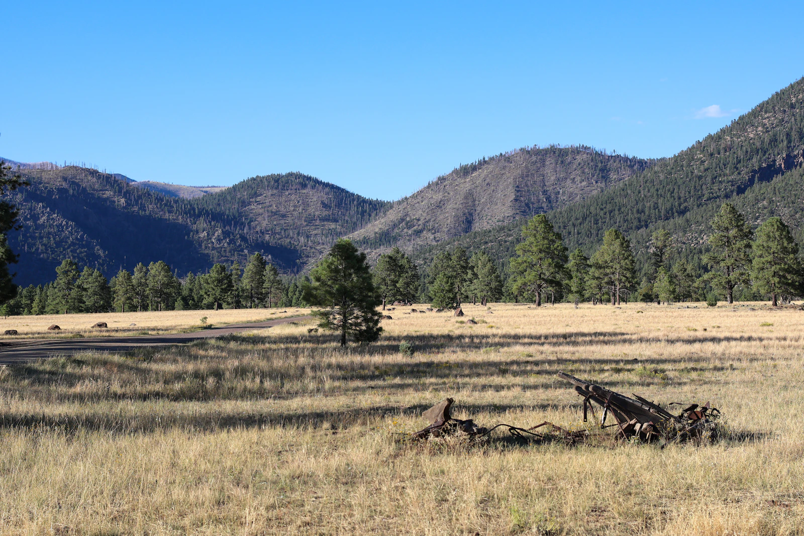 Flagstaff, Arizona photo 25 by Warren Jones
