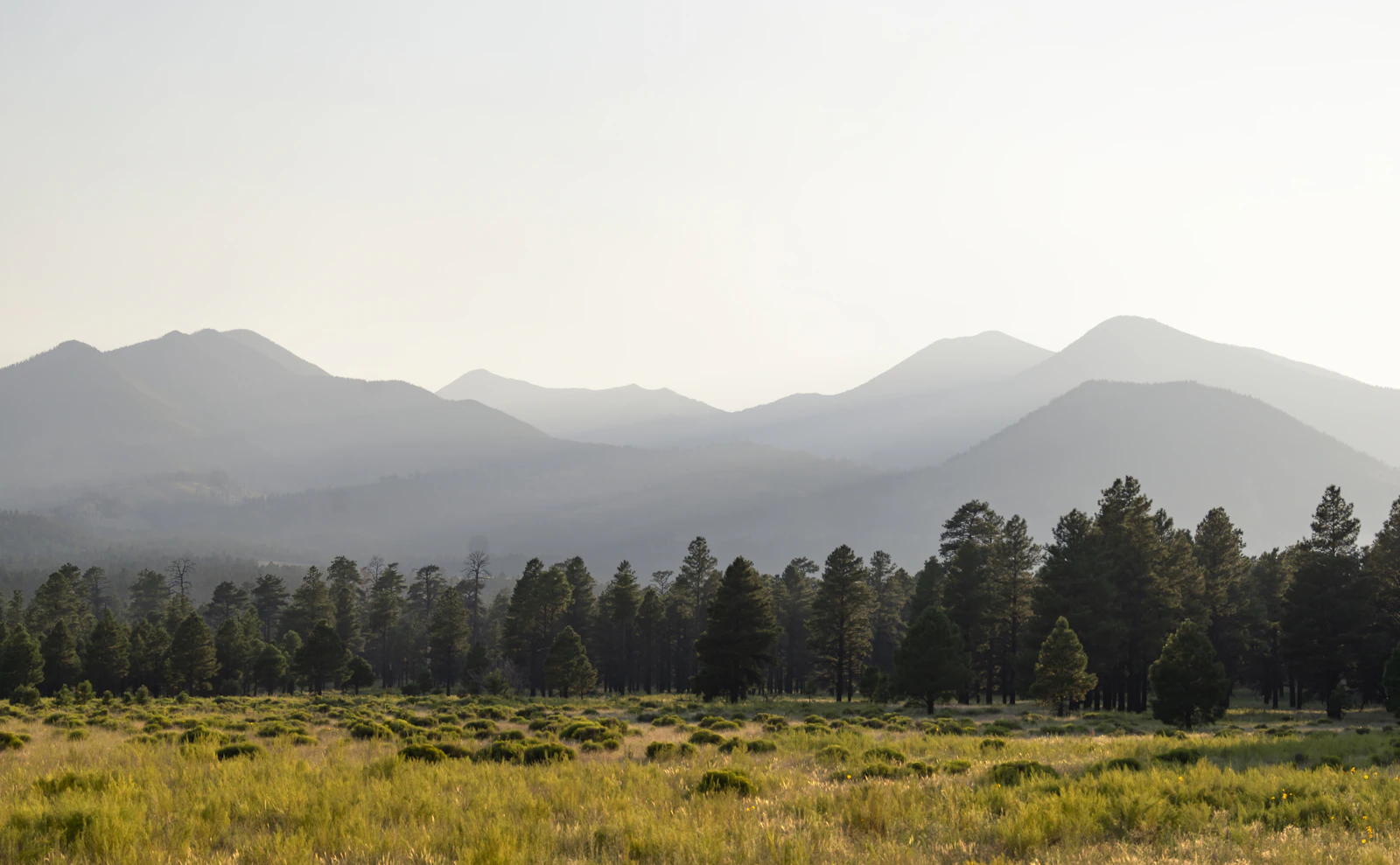 Flagstaff, Arizona photo 2 by Jim Witkowski