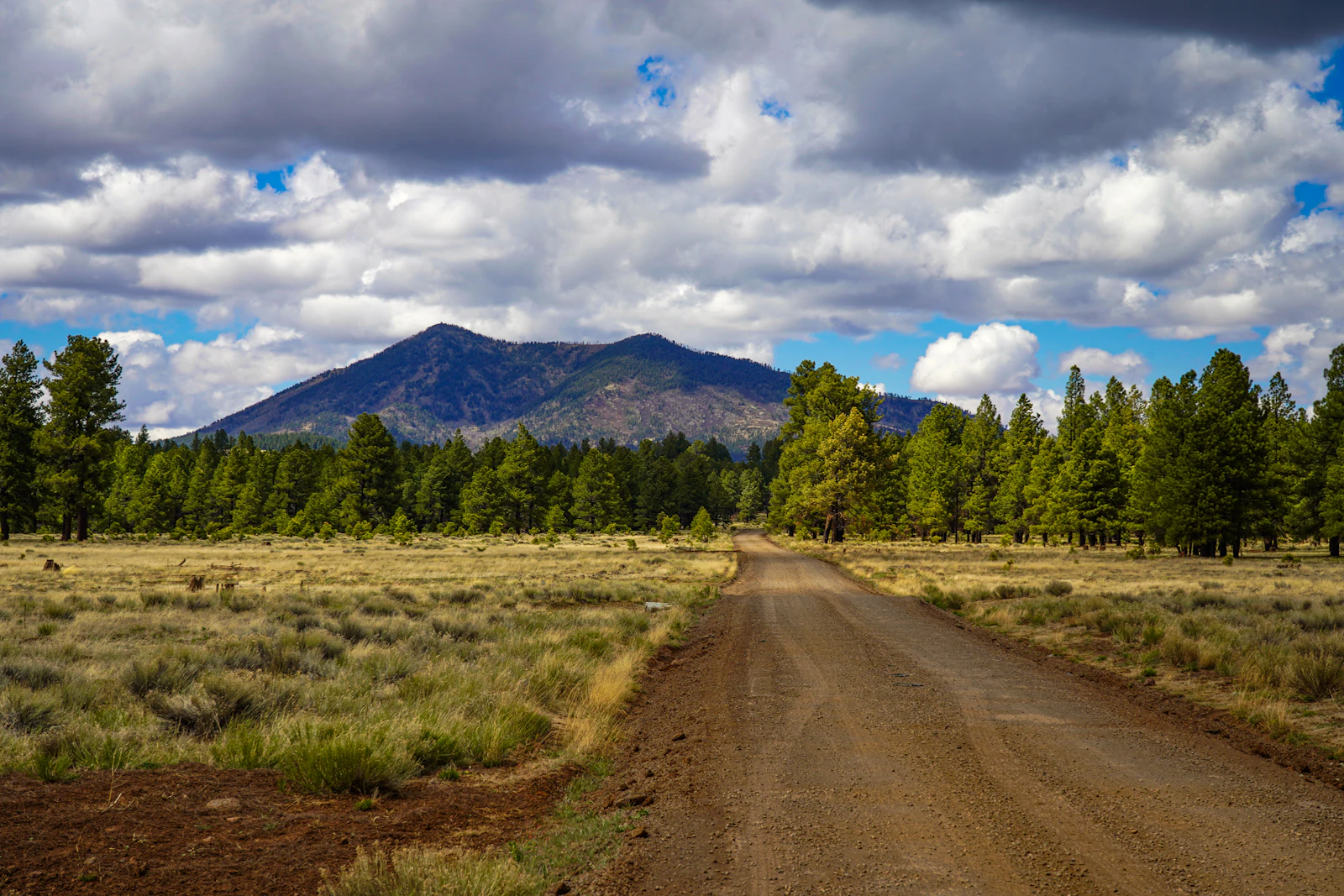 Flagstaff, Arizona photo 5 by Dianna Sarmiento