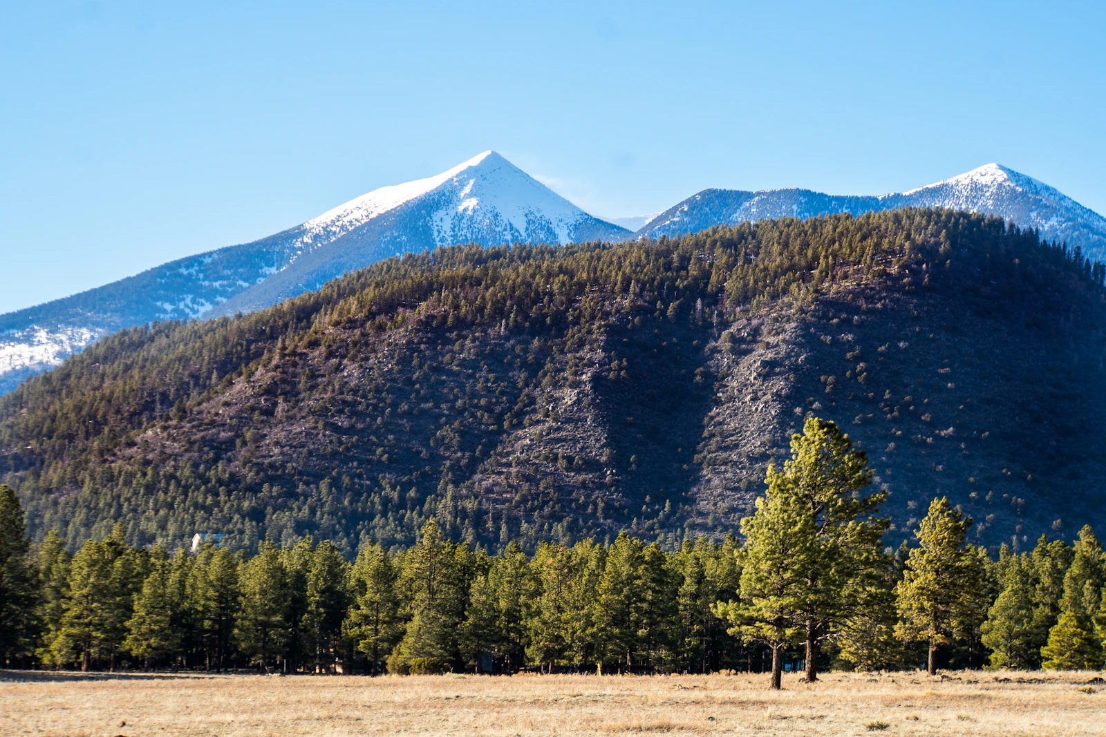 Flagstaff, Arizona photo 3 by Lauren Finch
