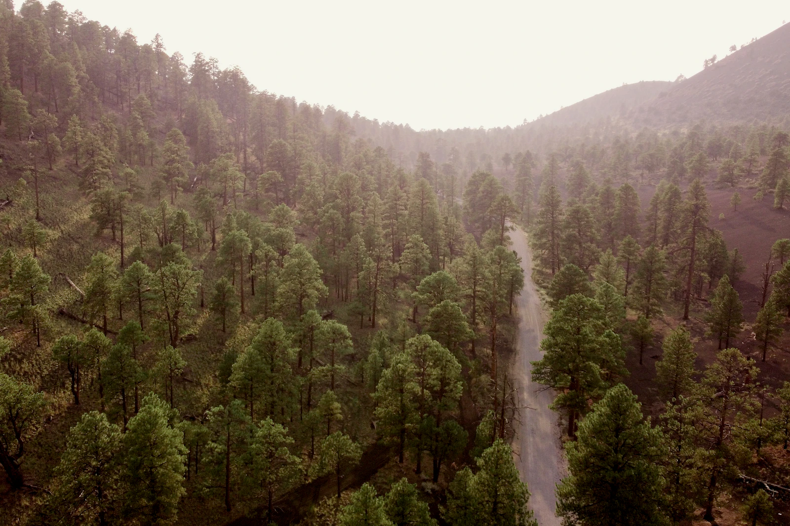Flagstaff, Arizona photo 27 by Edmundo Mendez, Jr.