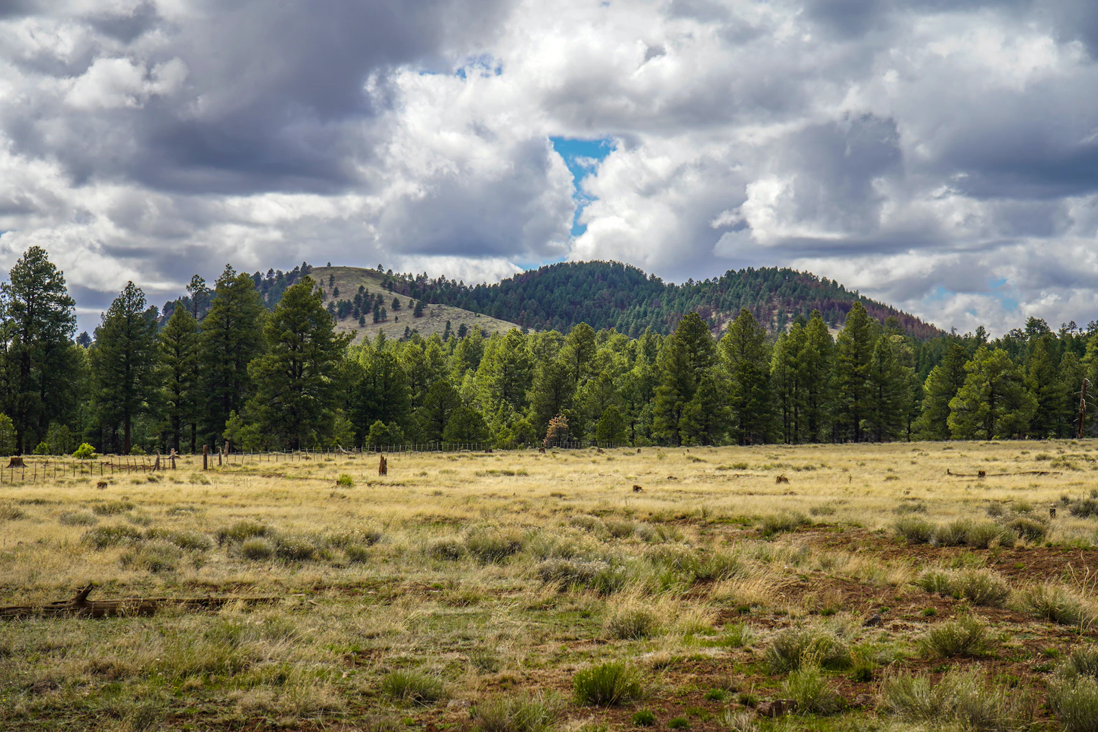 Flagstaff, Arizona photo 12 by Dianna Sarmiento