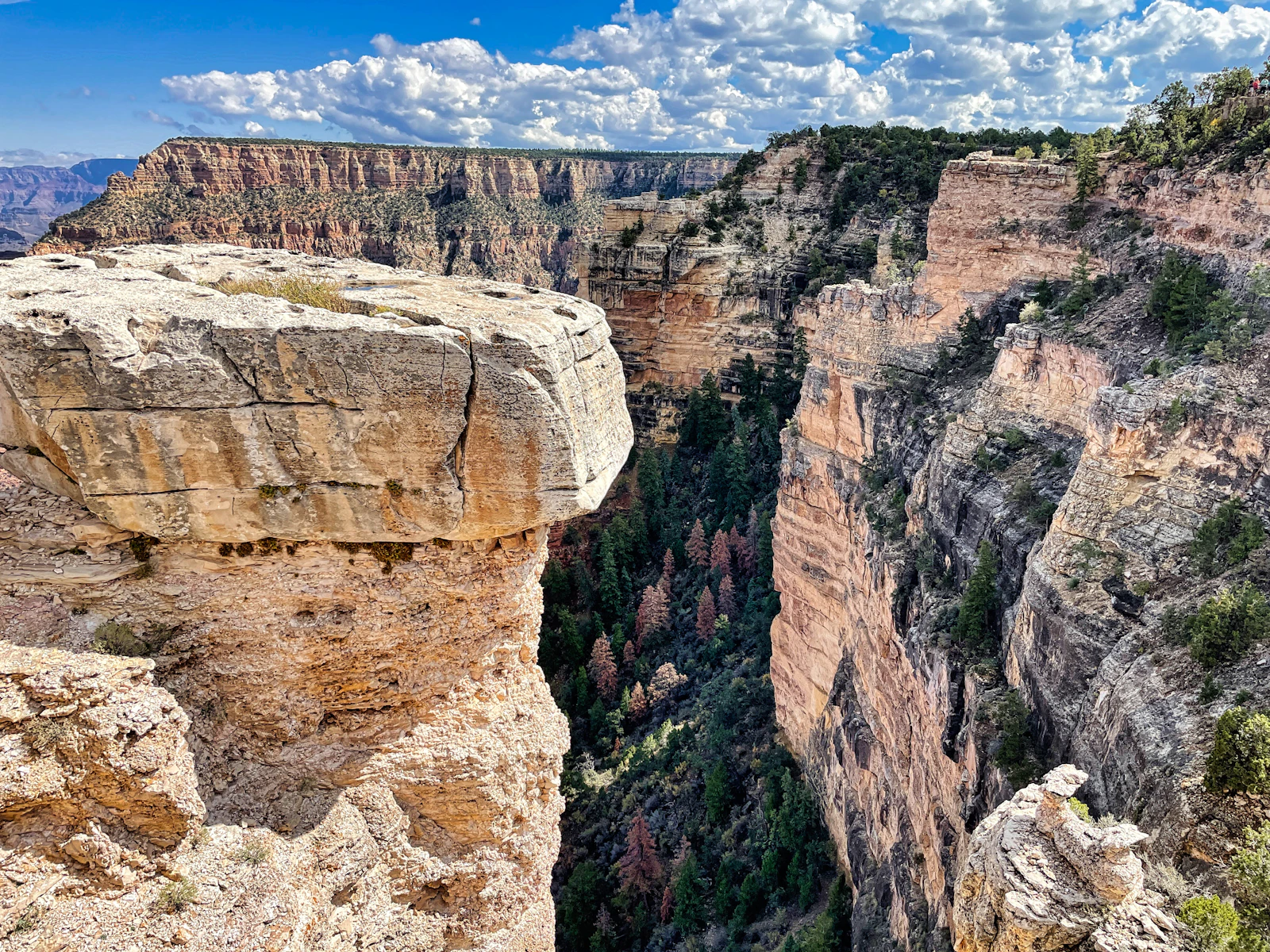Grand Canyon Village, Arizona photo 23 by Rajiv Perera