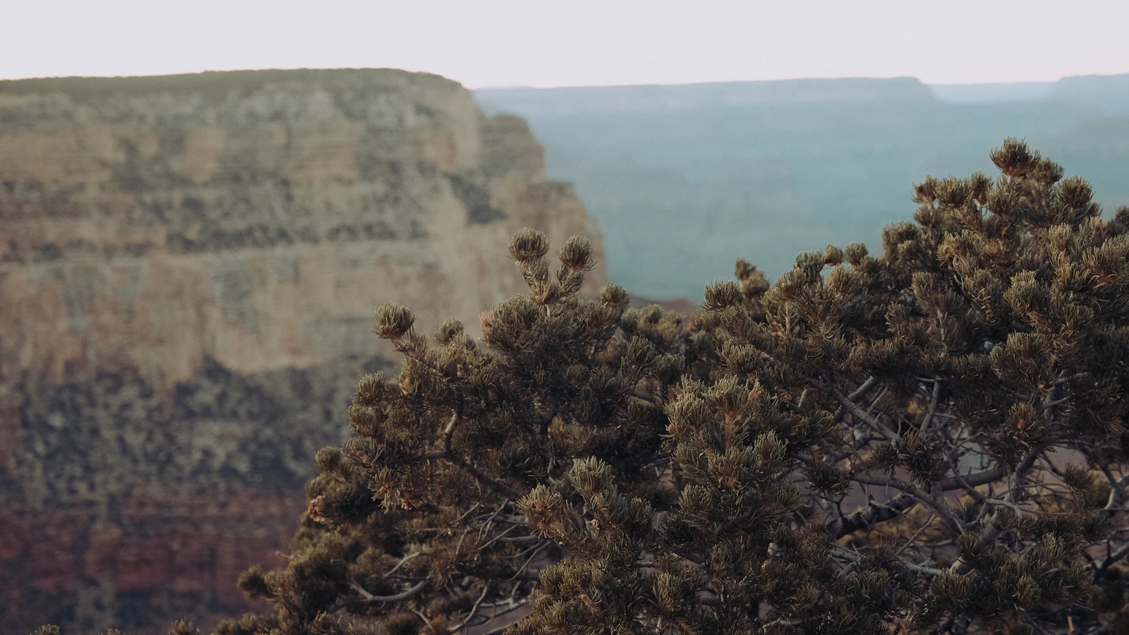 Grand Canyon Village, Arizona photo 17 by Aiden Craver
