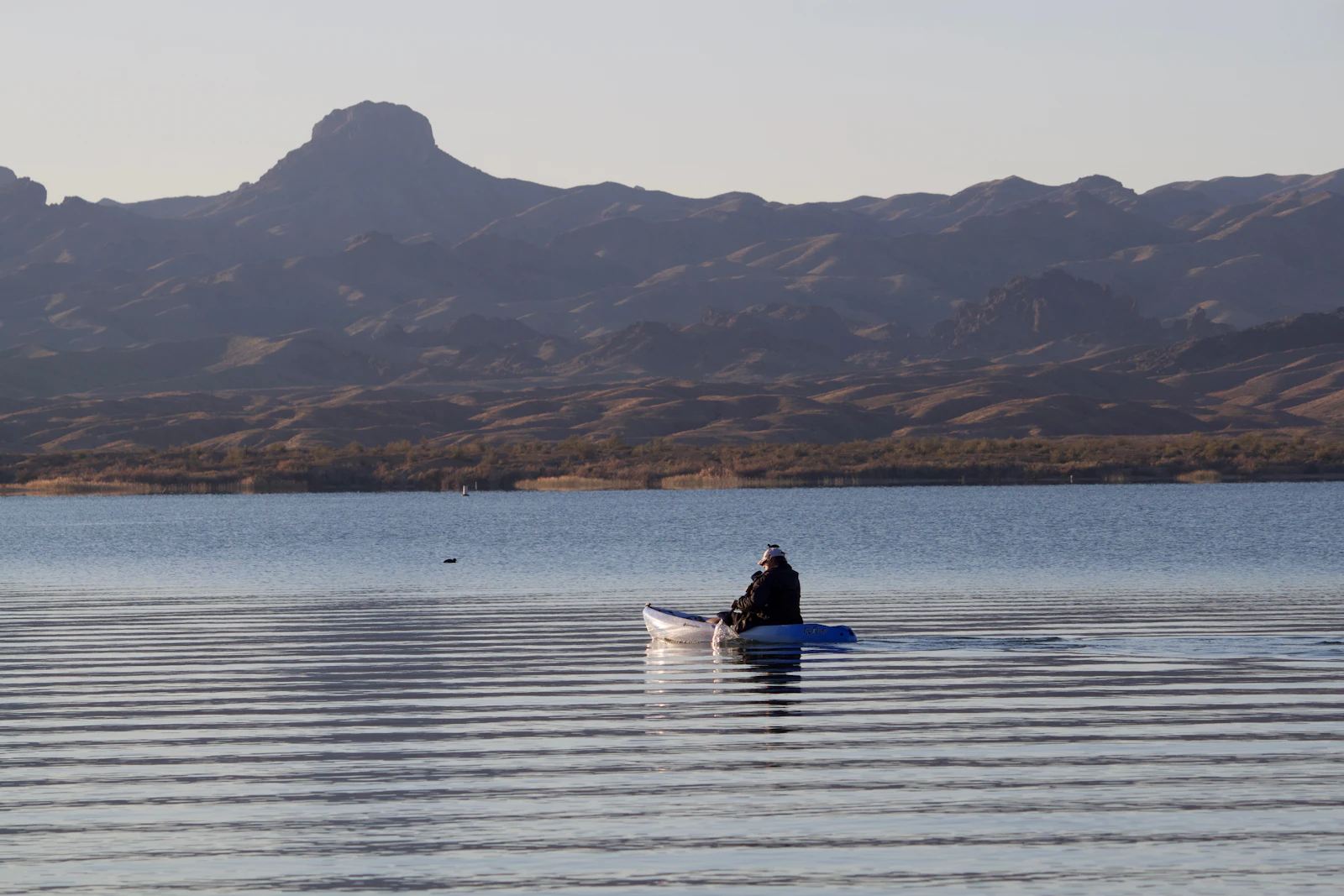 Lake Havasu City, Arizona photo 15 by Susan Weber