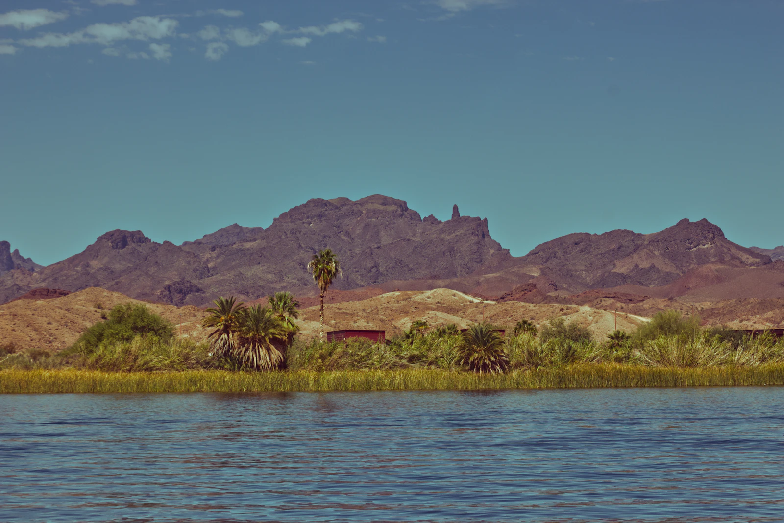 Lake Havasu City, Arizona photo 30 by Clay Elliot