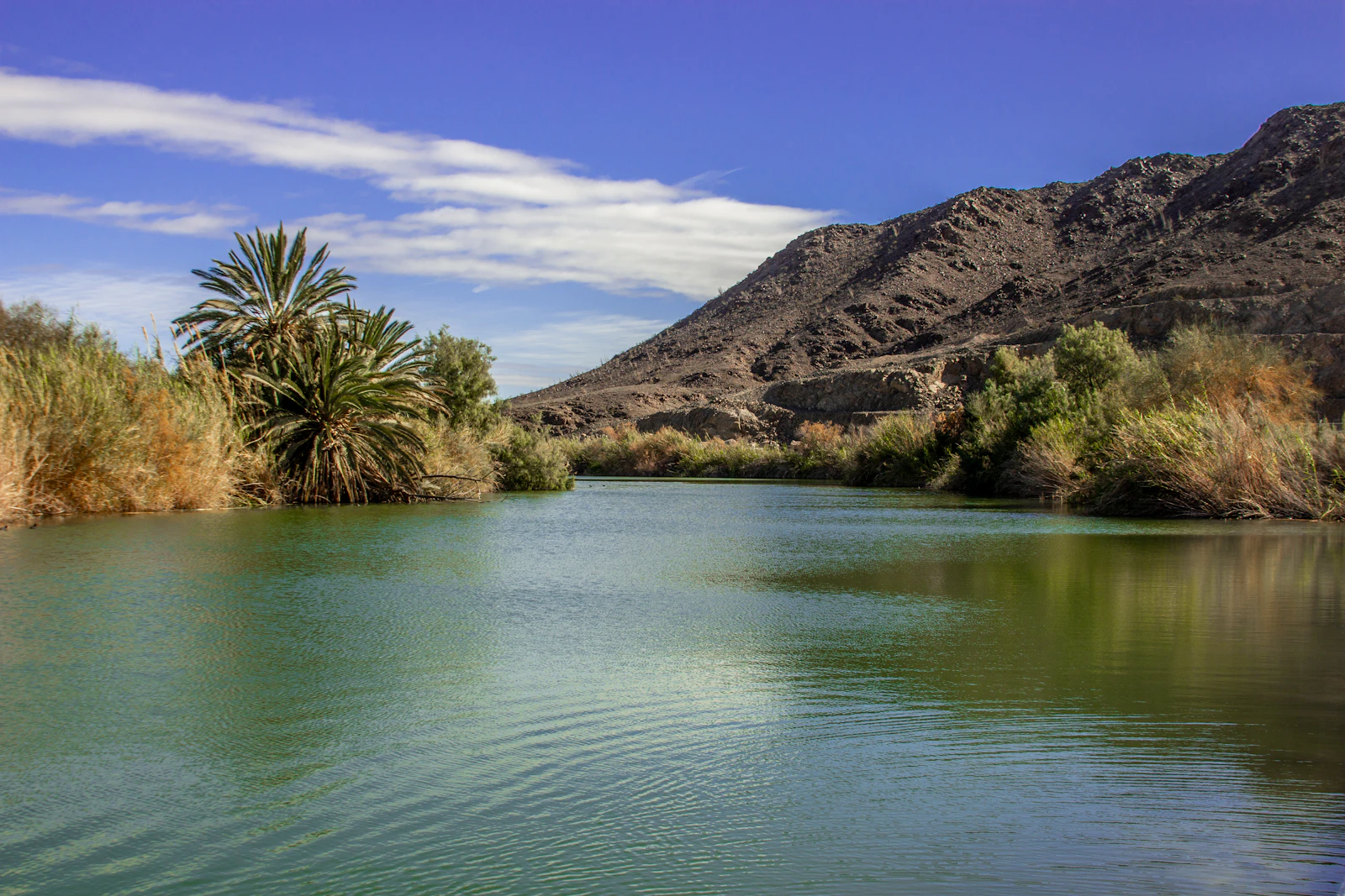 Lake Havasu City, Arizona photo 5 by Clay Elliot