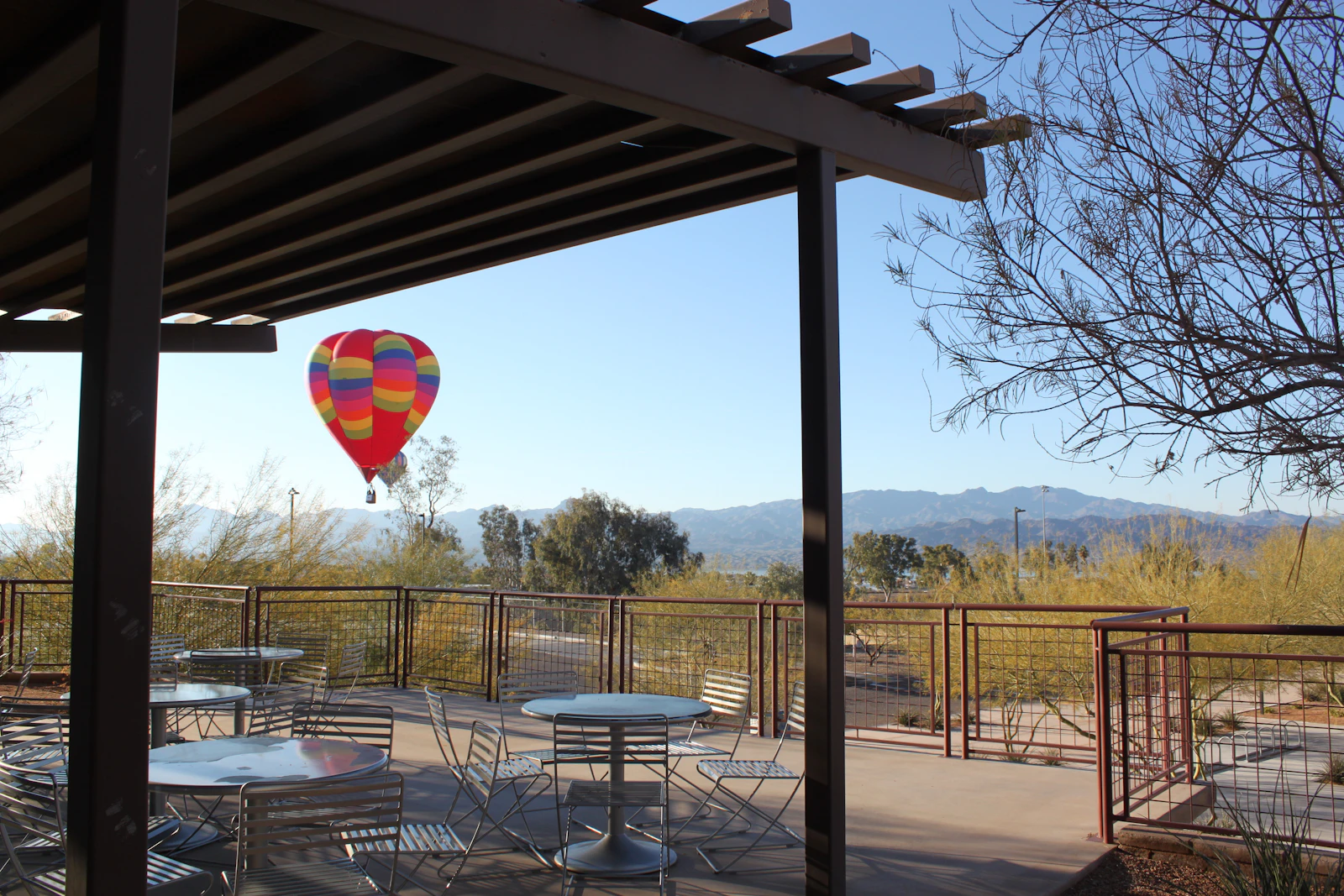 Lake Havasu City, Arizona photo 25 by Susan Weber
