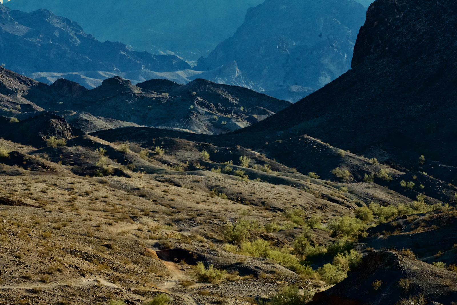 Lake Havasu City, Arizona photo 10 by Andrea Qoqonga
