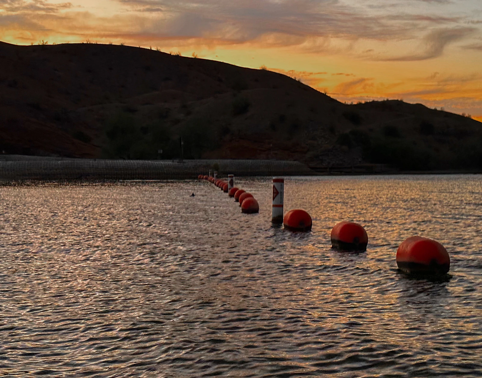 Lake Havasu City, Arizona photo 26 by Donna Elliot