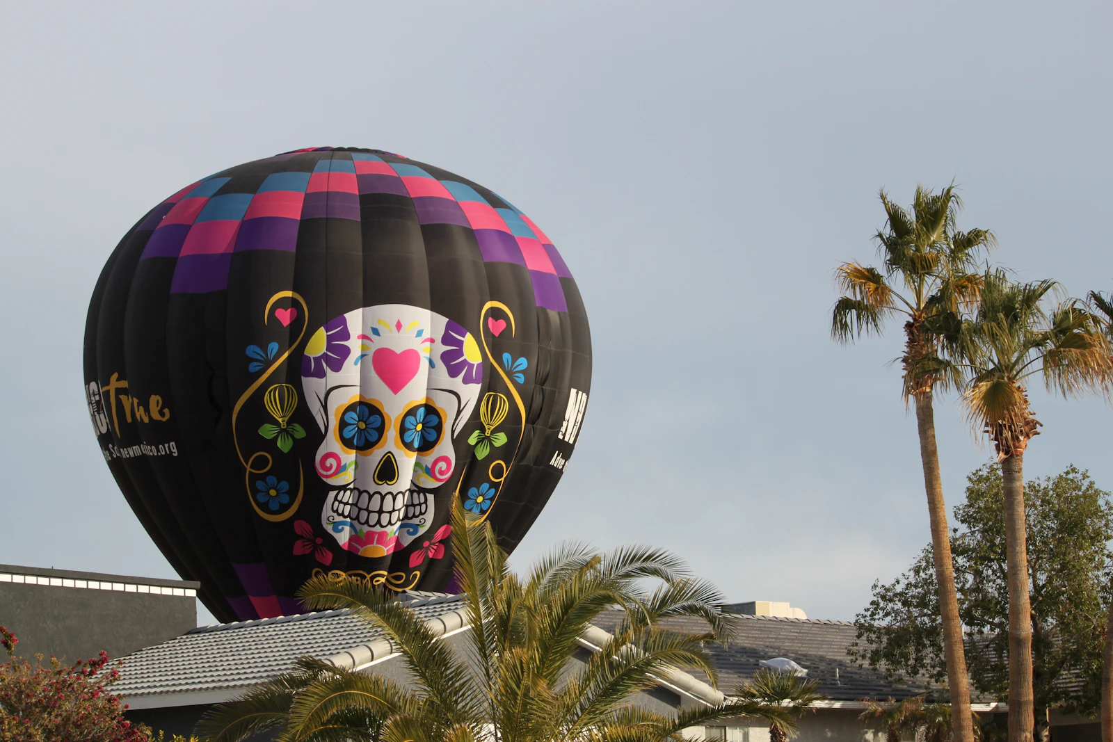 Lake Havasu City, Arizona photo 17 by Susan Weber