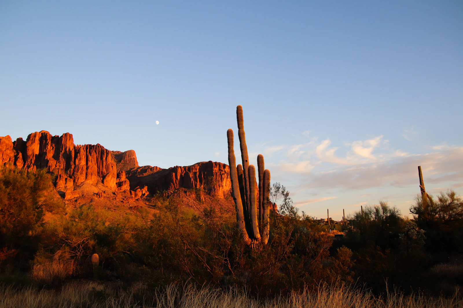 Phoenix, Arizona photo 14 by Megan Clark