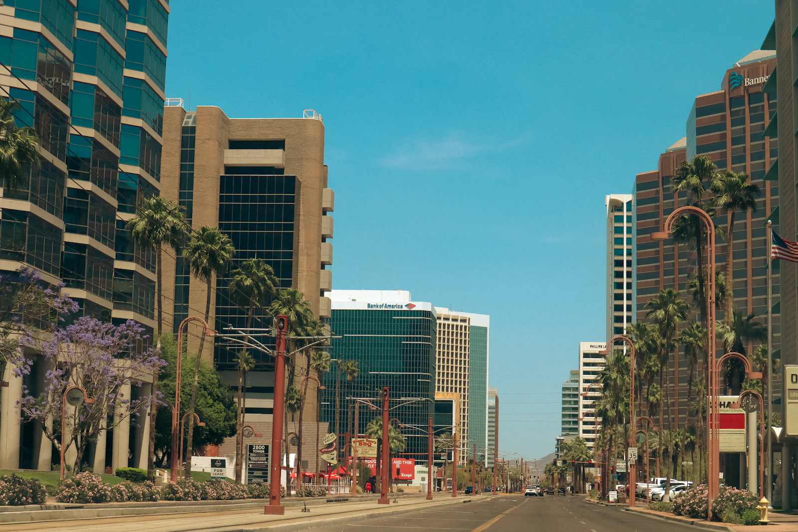 Phoenix, Arizona photo 5 by Allison Astorga