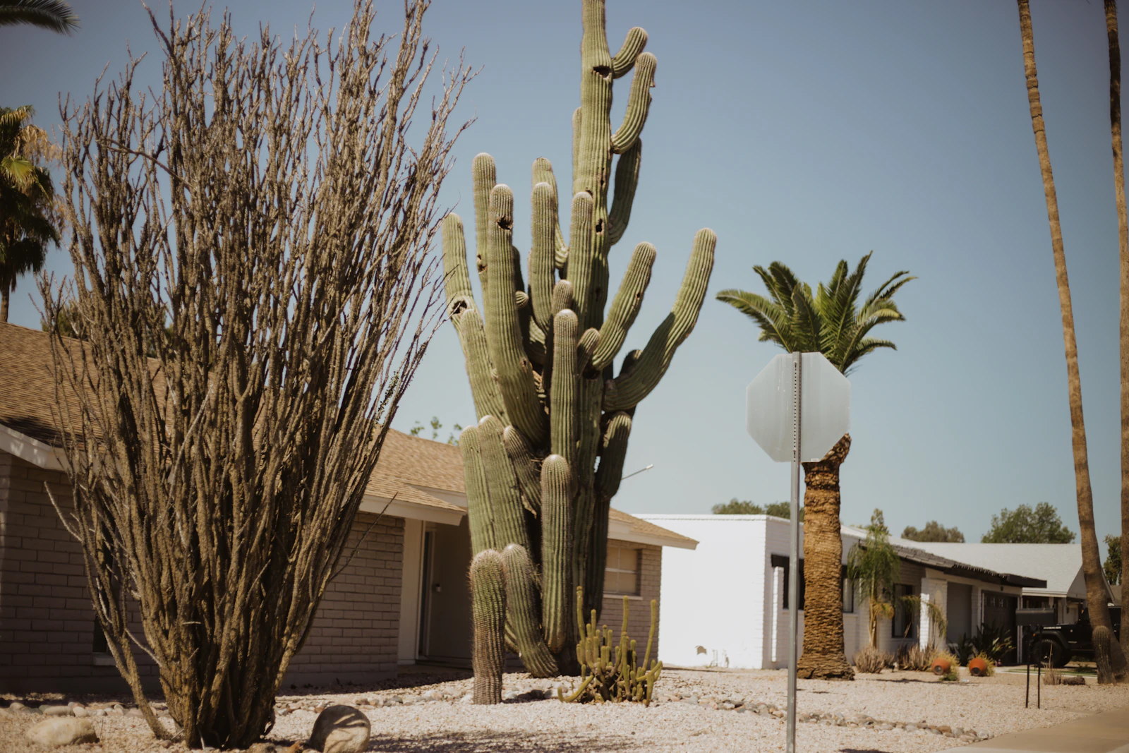 Phoenix, Arizona photo 30 by Tori Wise