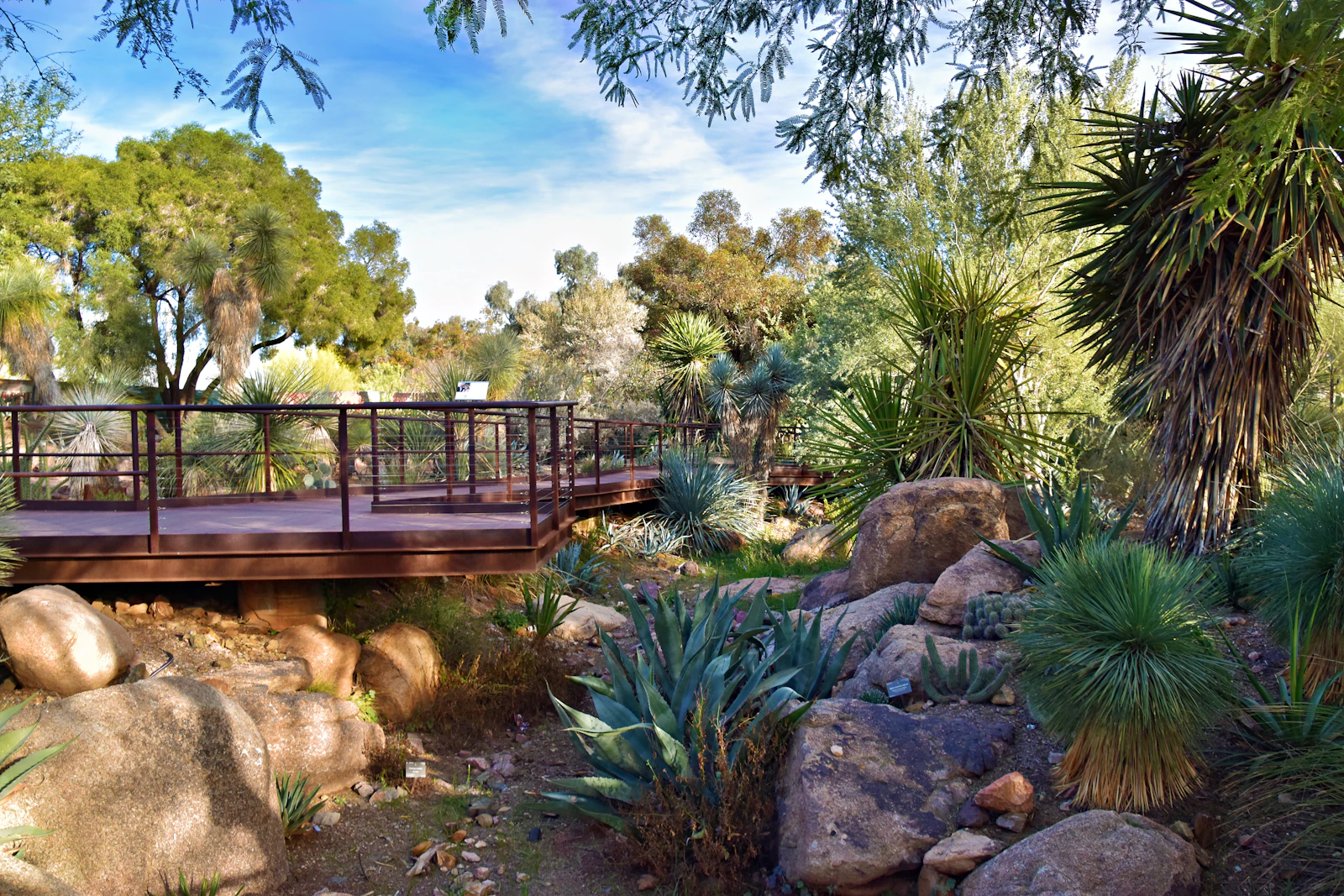 Phoenix, Arizona photo 19 by Jeffrey Eisen