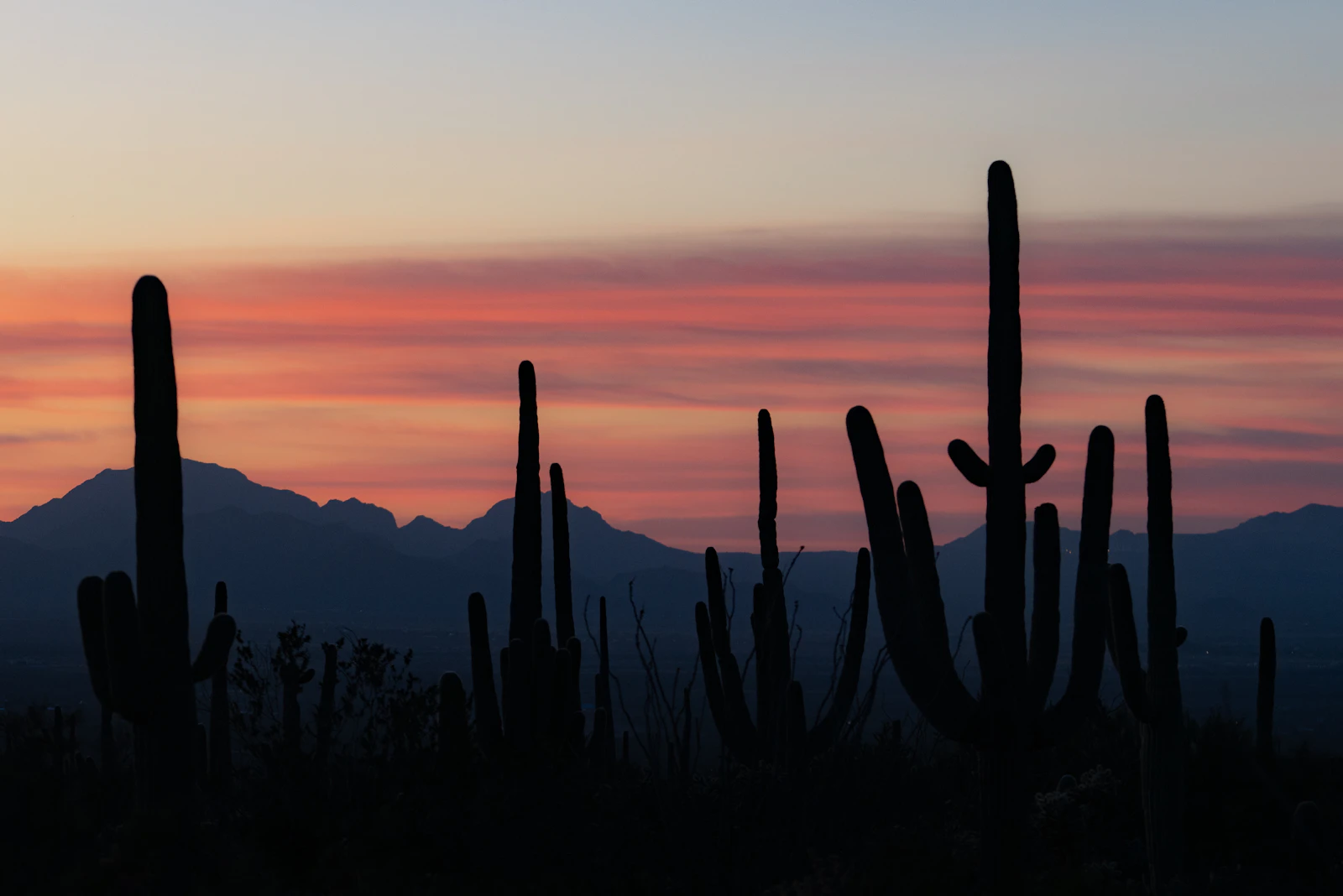 Phoenix, Arizona photo 13 by Mason Field