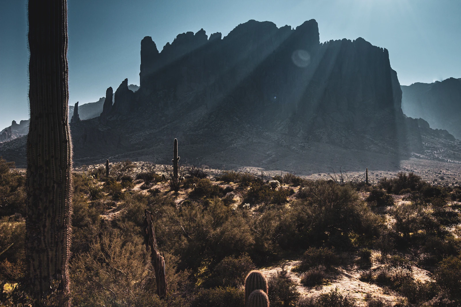 Phoenix, Arizona photo 25 by Zach Reiner