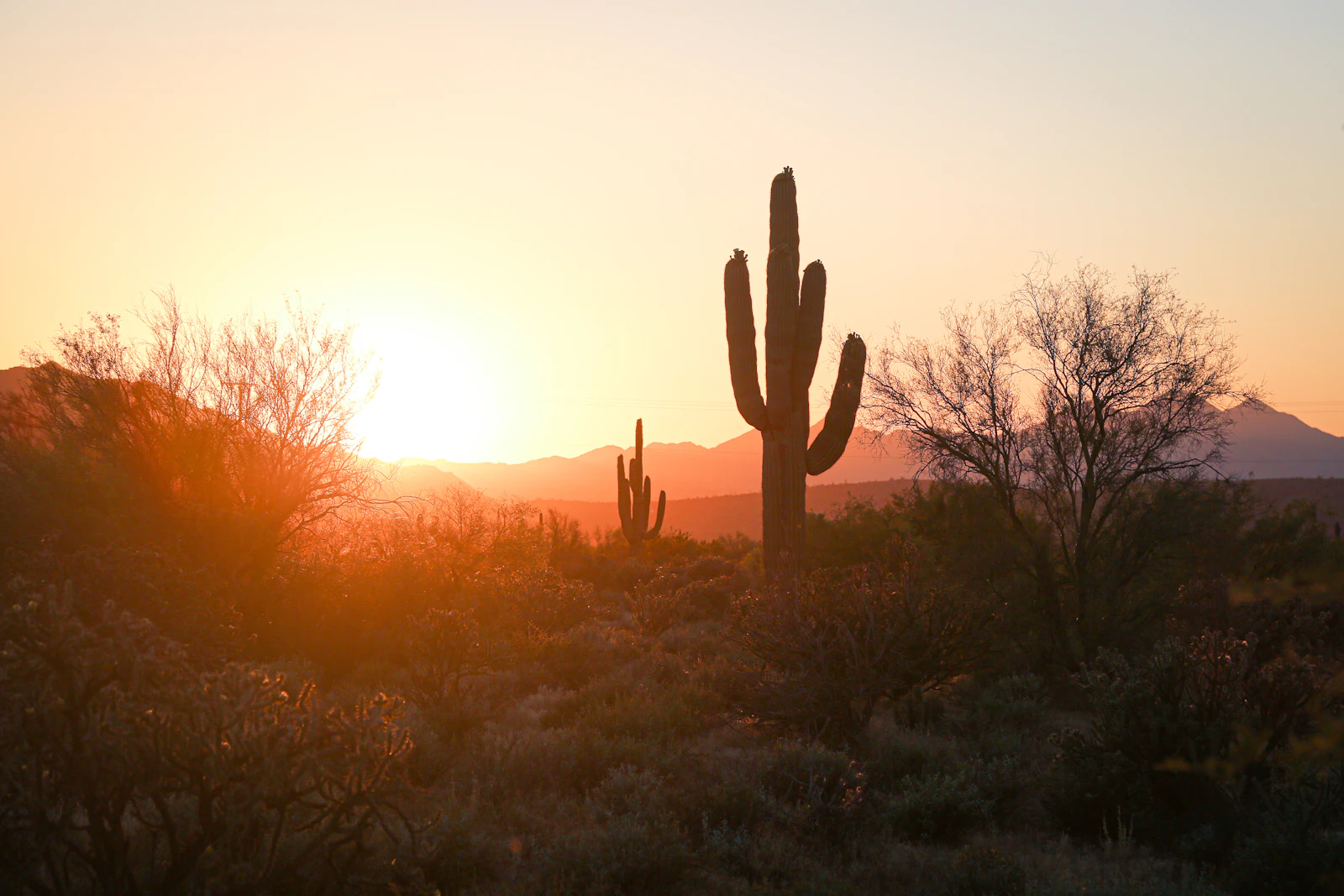 Phoenix, Arizona photo 3 by Joe Cook
