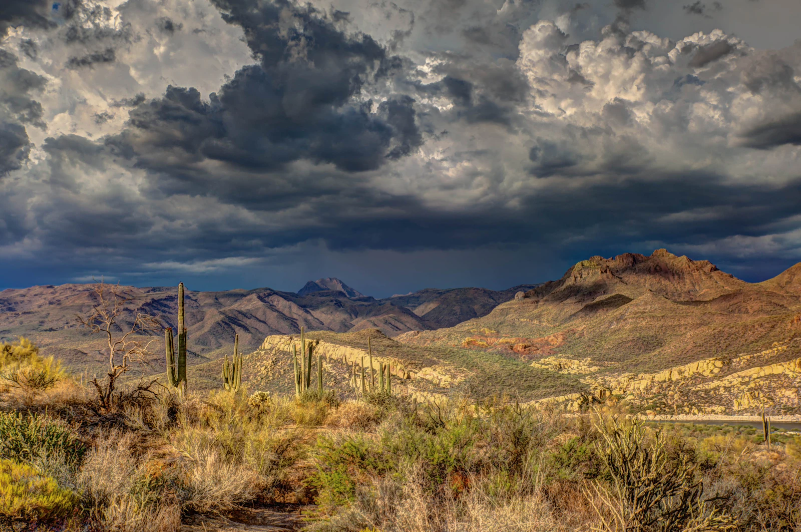 Phoenix, Arizona photo 8 by Robert Murray
