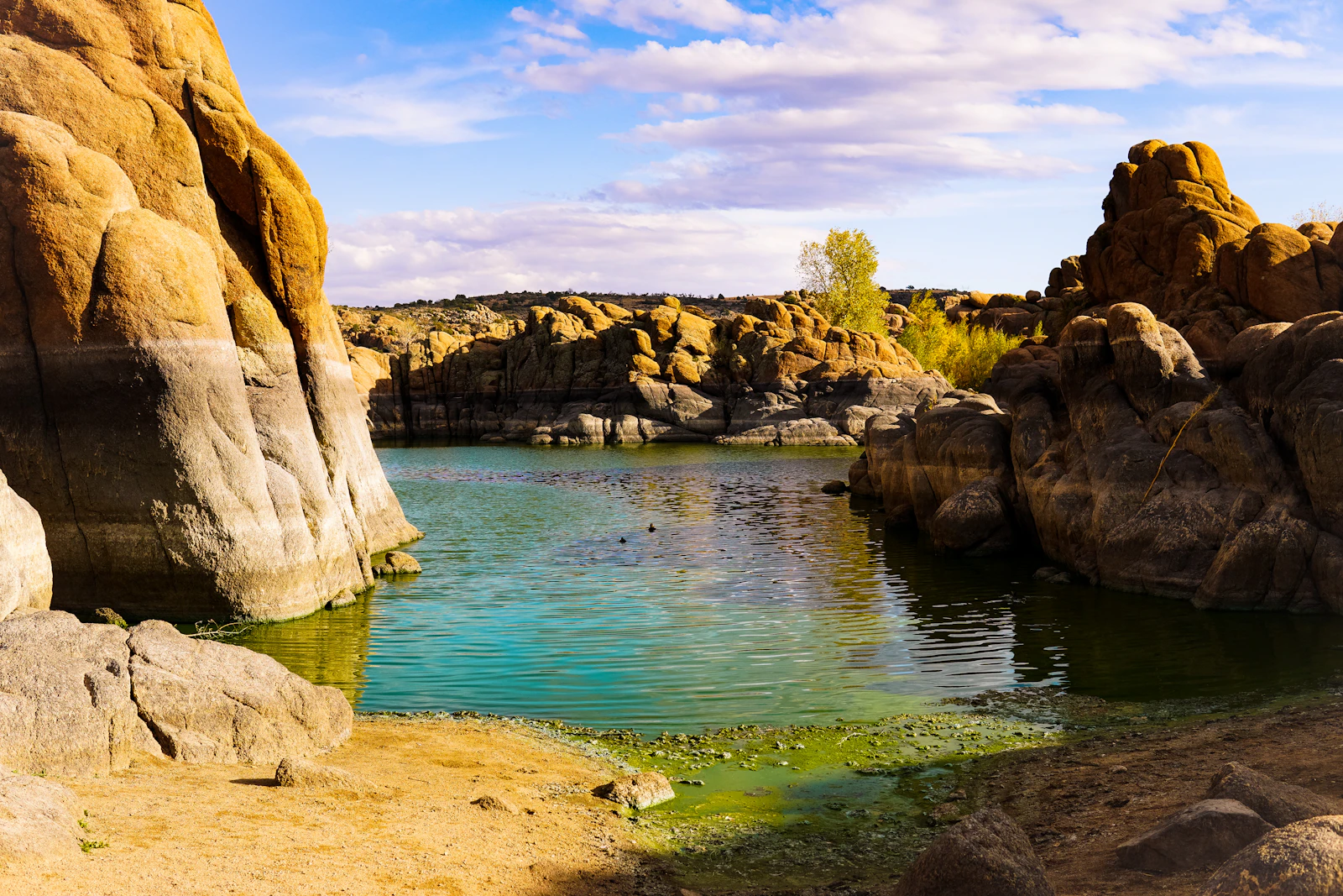 Prescott, Arizona photo 7 by Pamela Beane