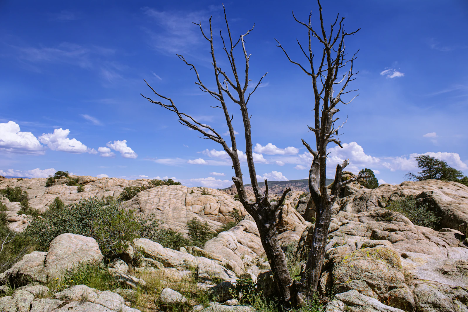 Prescott, Arizona photo 15 by Alexander Simmons