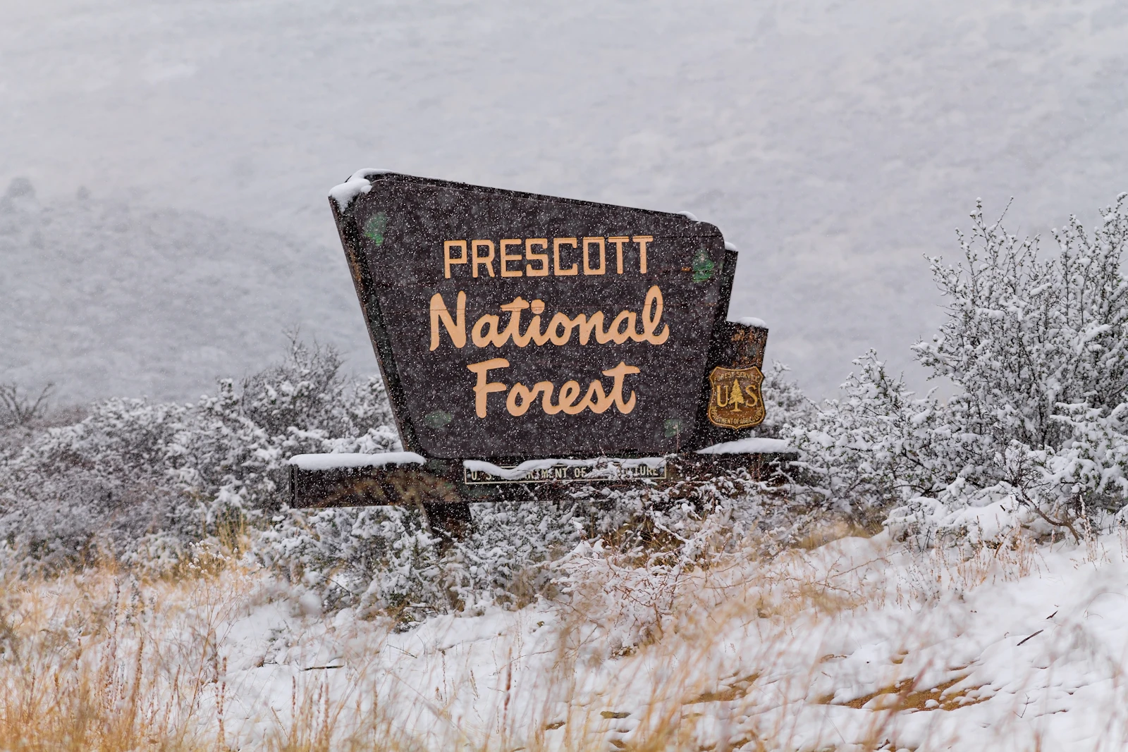 Prescott, Arizona photo 5 by Jordyn Dickens