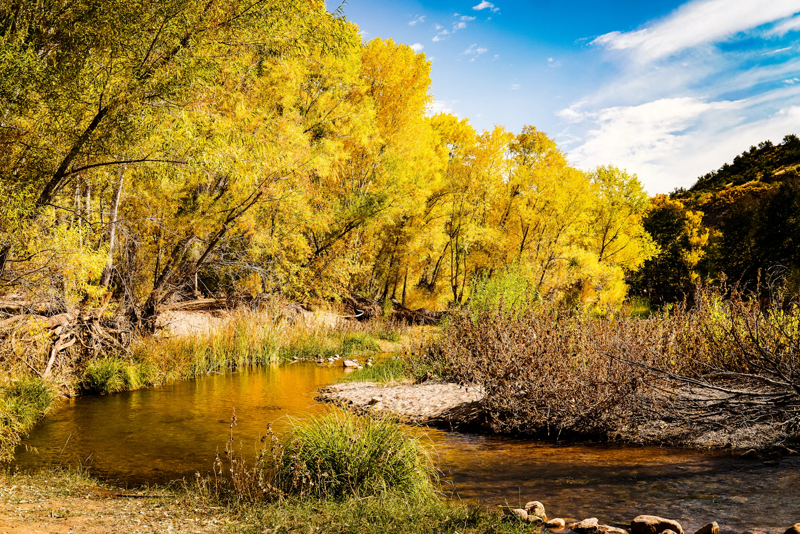 Prescott, Arizona photo 10 by Pamela Beane
