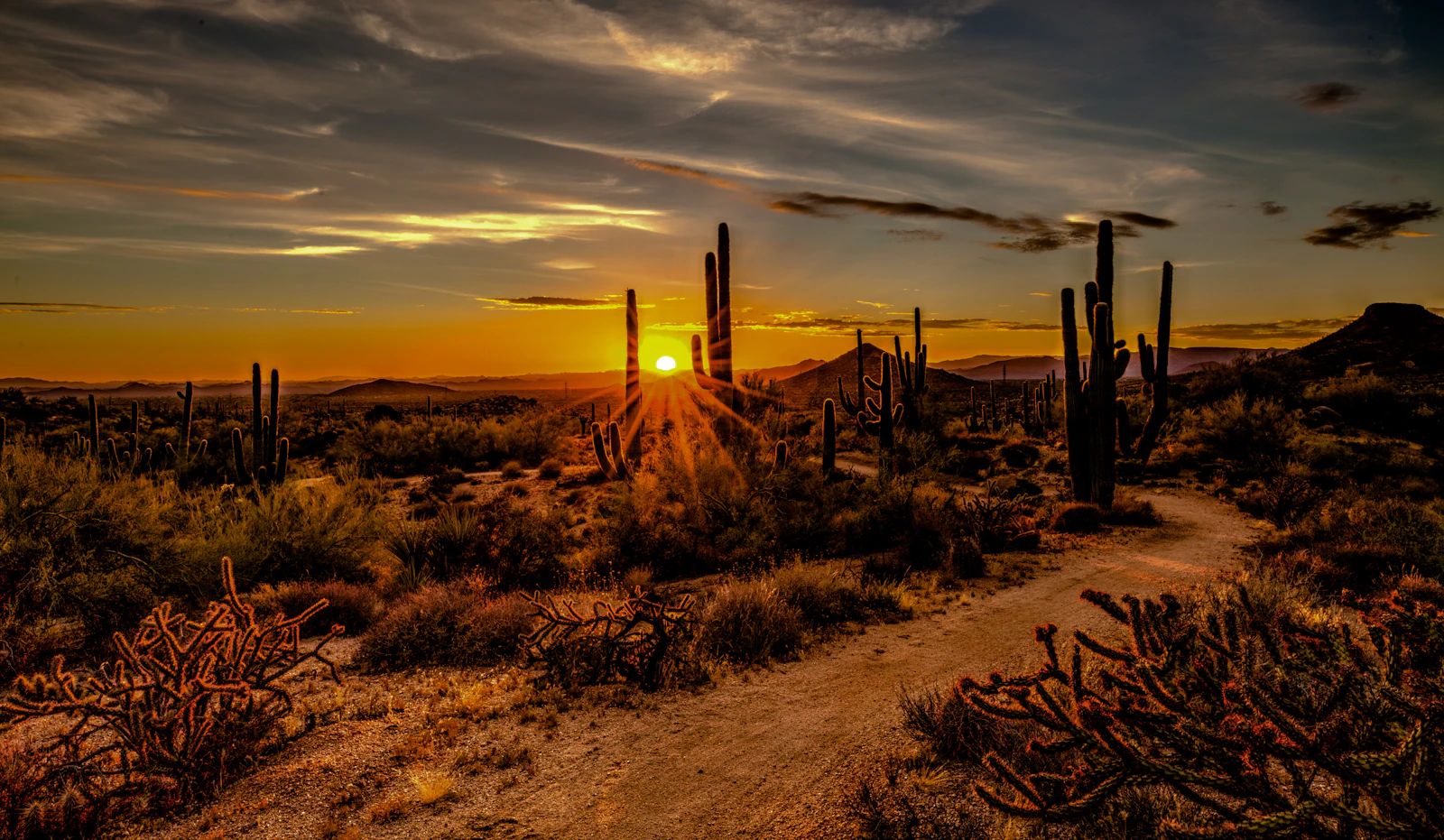 Scottsdale, Arizona photo 1 by Robert Murray