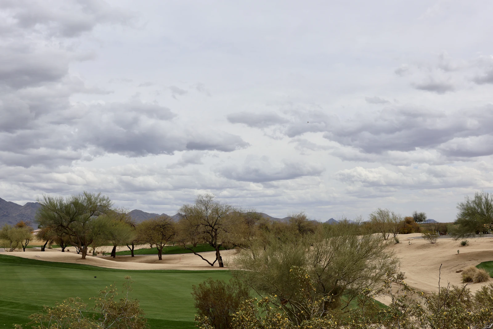 Scottsdale, Arizona photo 17 by Scott Greer