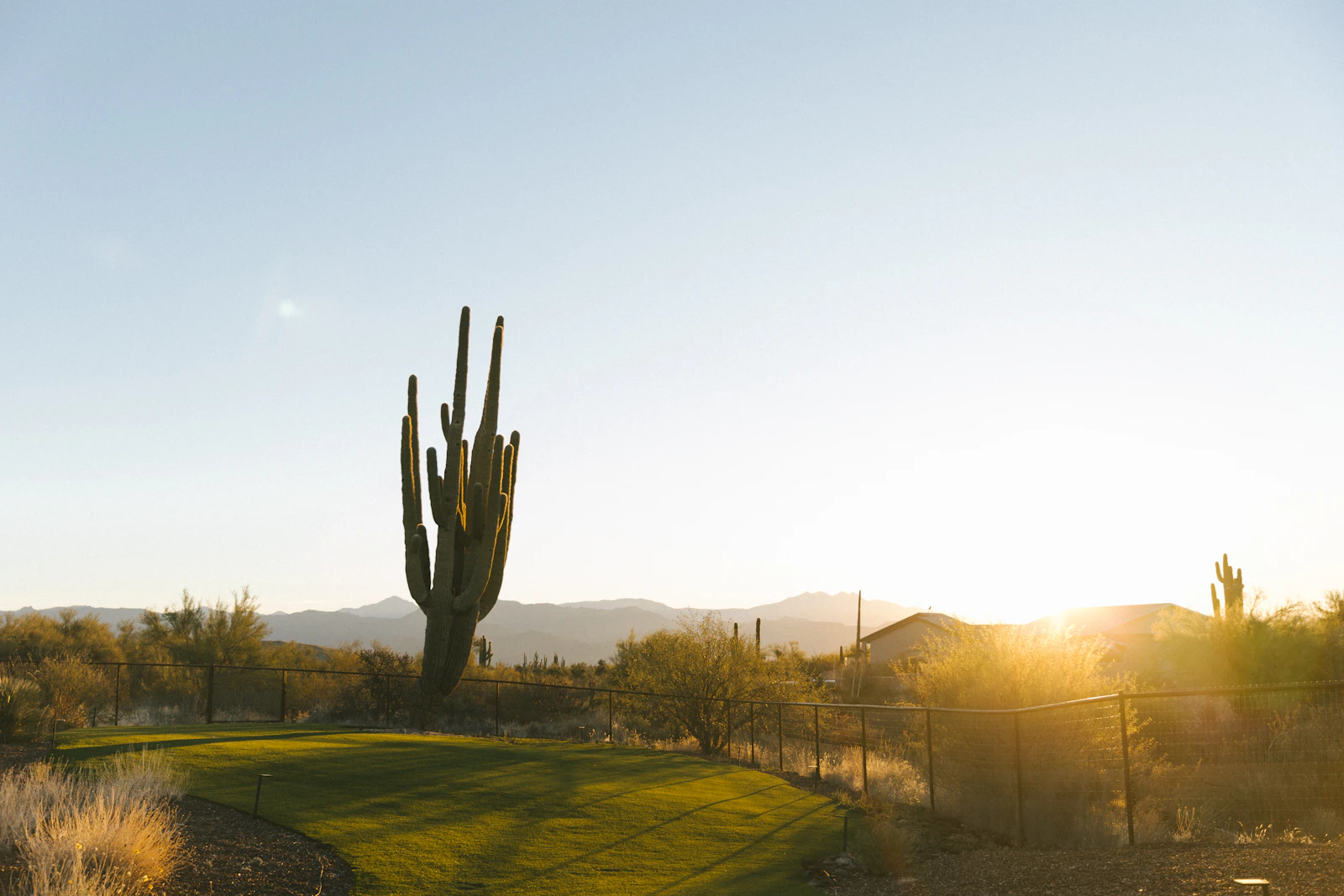 Scottsdale, Arizona photo 14 by Mimi Di Cianni
